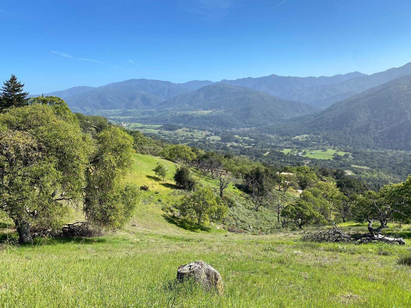 a view of a lush green hillside and houses