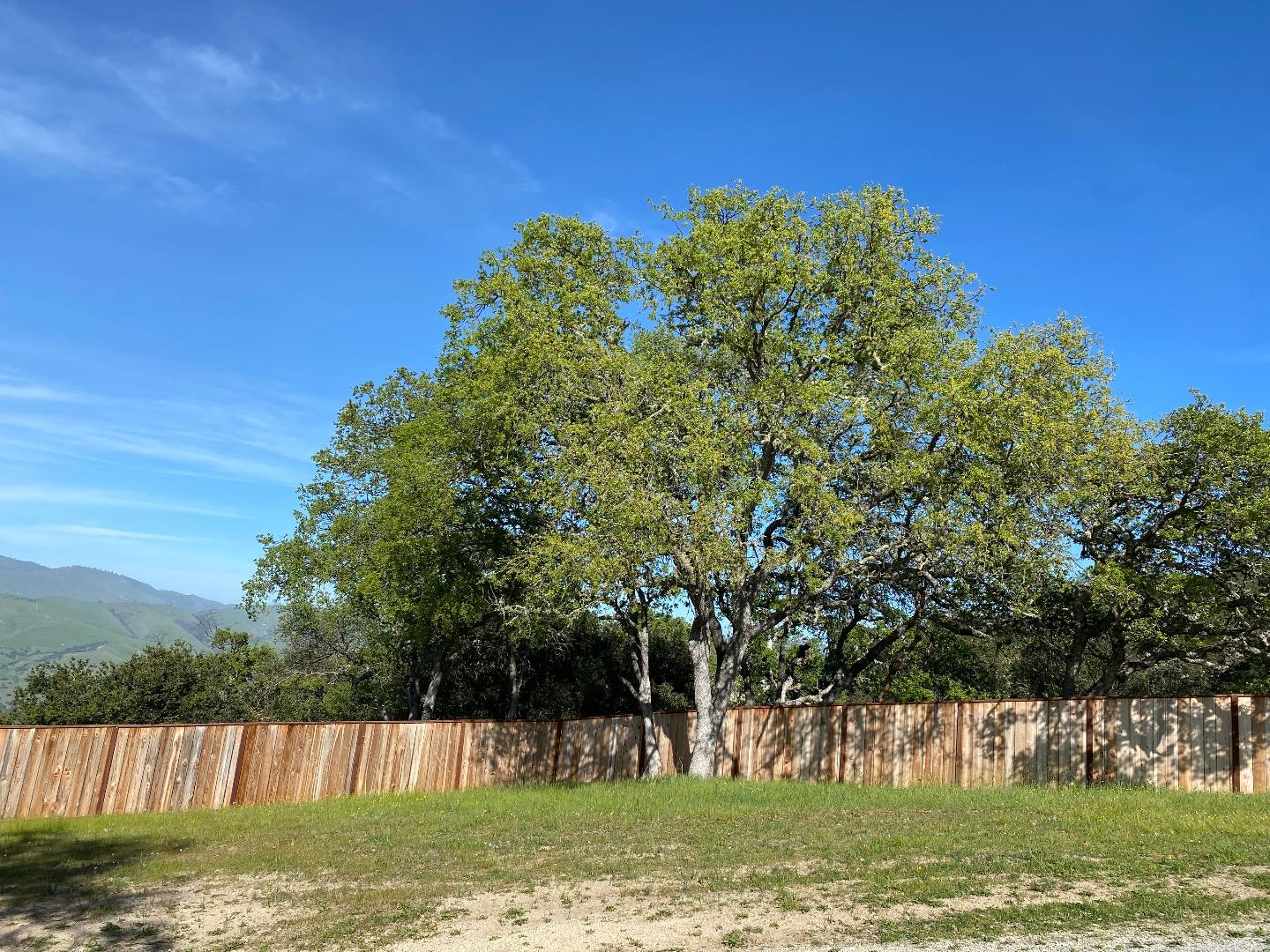 35180 Sky Ranch Road Carmel Valley, CA 93924 - Photo 12 of 16 a view of a field with trees in the background