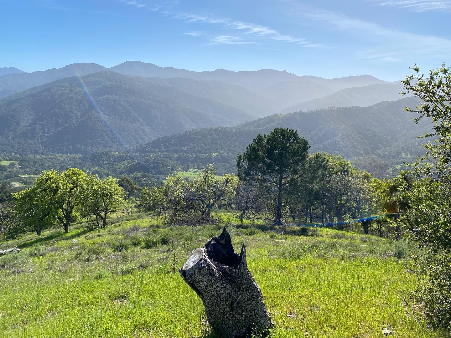 35180 Sky Ranch Road Carmel Valley, CA 93924 - Photo 13 of 16 a view of a backyard with plants and mountain view