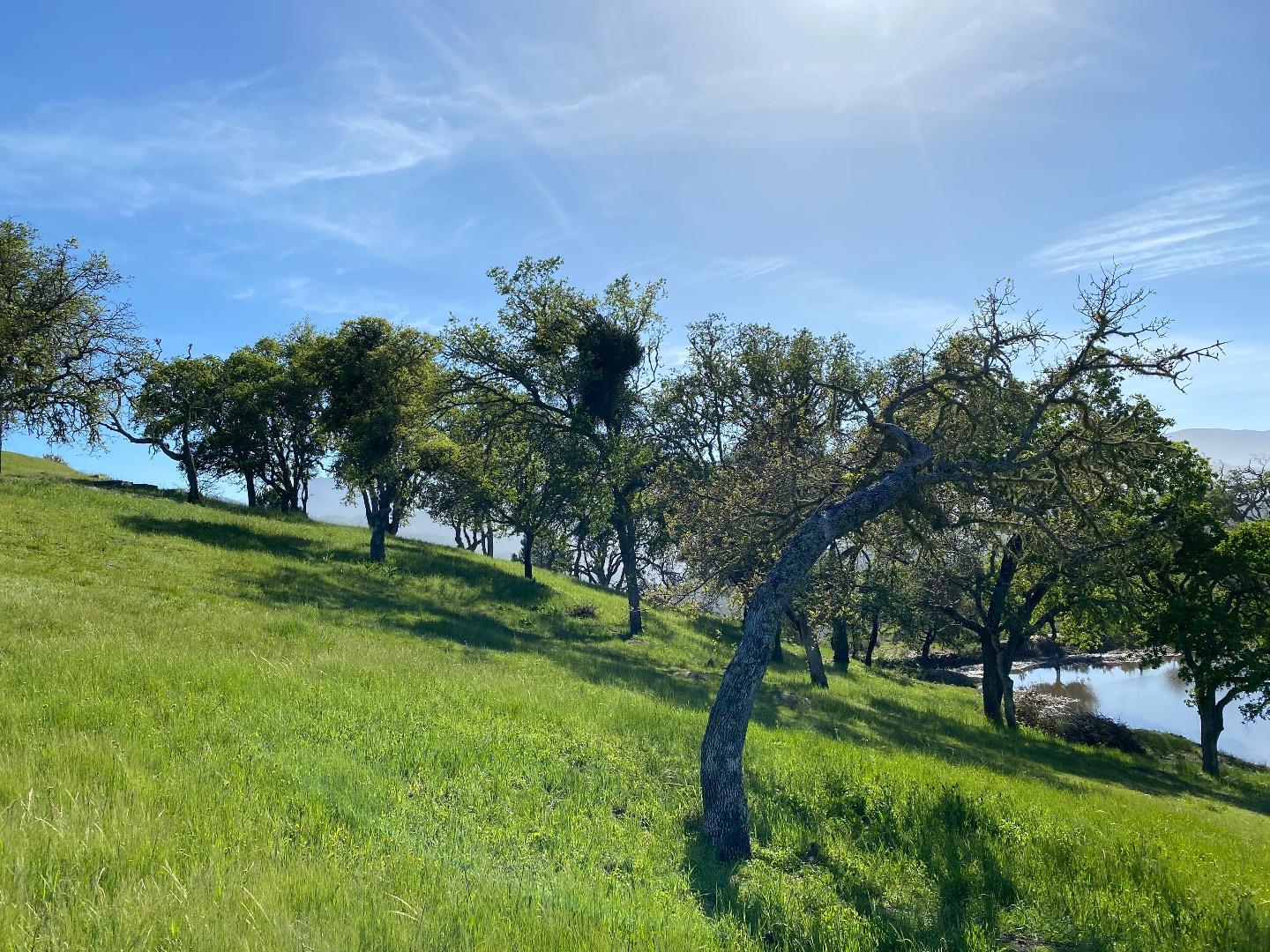 35180 Sky Ranch Road Carmel Valley, CA 93924 - Photo 14 of 16 a yard with lots of green space and trees