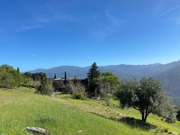 a view of a backyard with green space