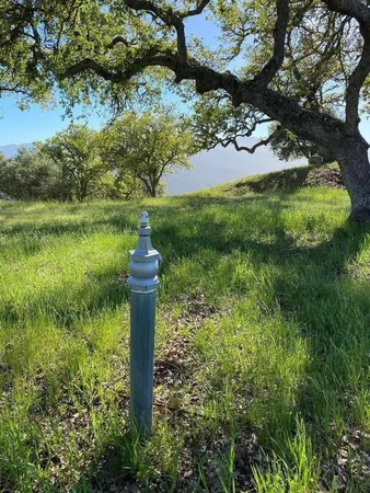 a view of a yard in a yard