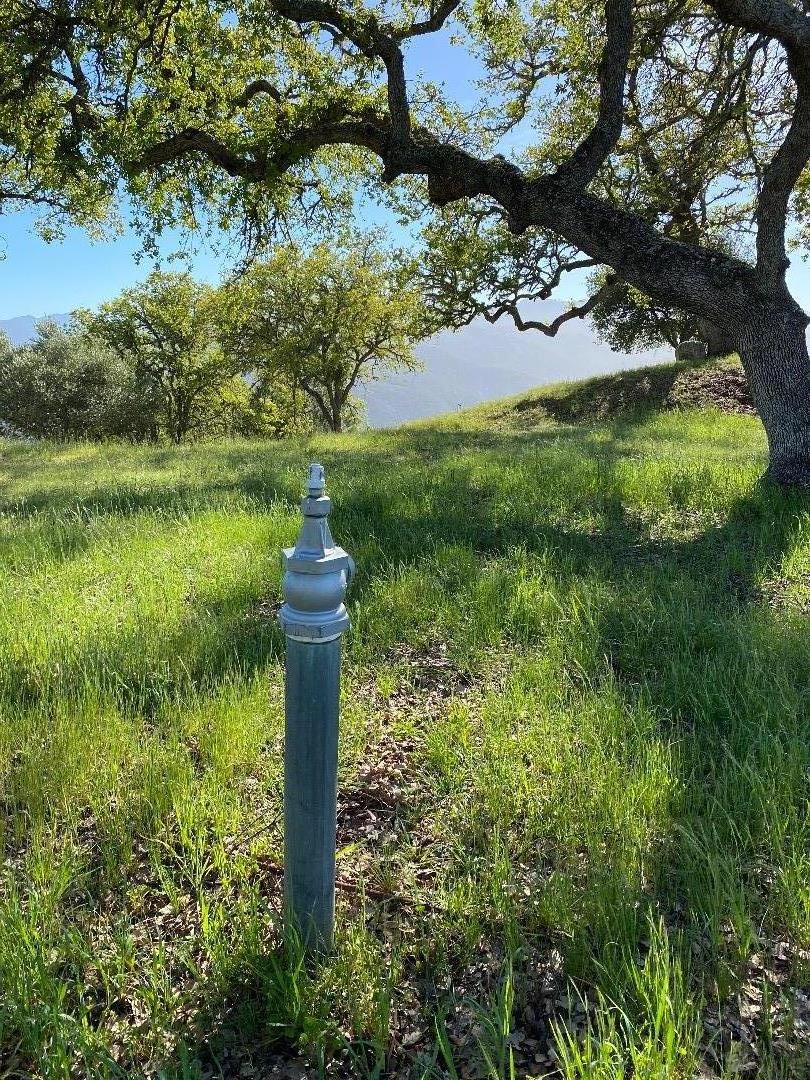 35180 Sky Ranch Road Carmel Valley, CA 93924 - Photo 8 of 16 a front view of a house with a yard and large tree