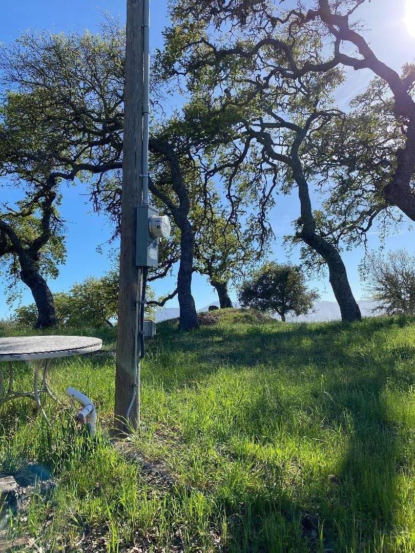 35180 Sky Ranch Road Carmel Valley, CA 93924 - Photo 9 of 16 a view of a yard in a yard