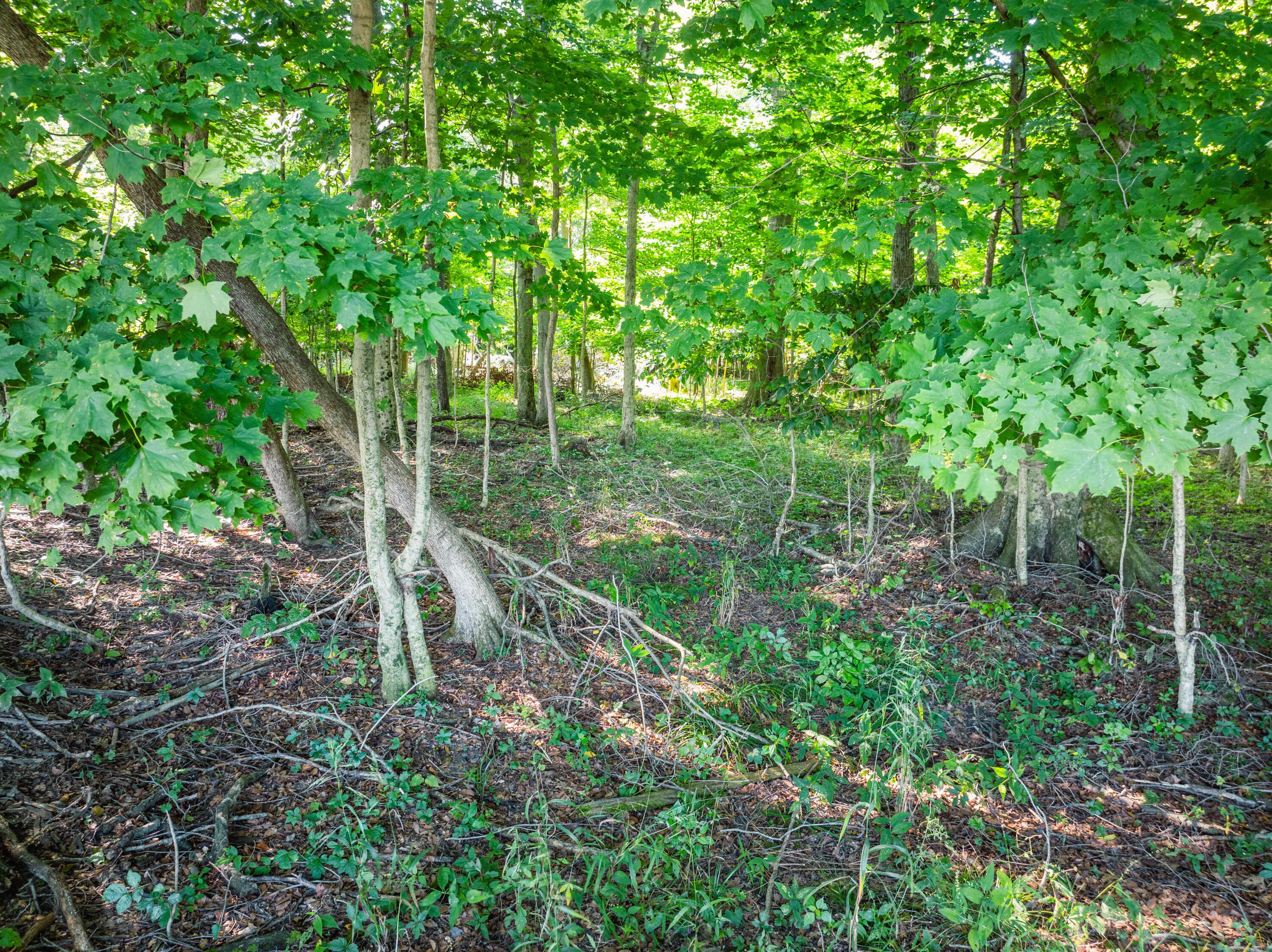 0 Sycamore Road Centerburg, OH 43011 - Photo 24 of 69 DJI_20260827152552_0804_D