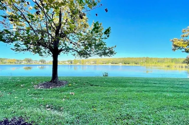 a view of an ocean and beach