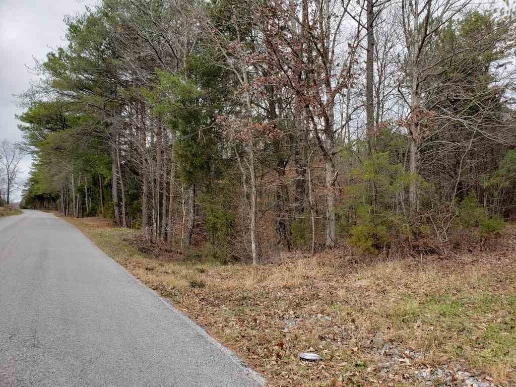 0 County Road 187 Decatur, TN 37322 - Photo 12 of 35 Gallery Image 12
