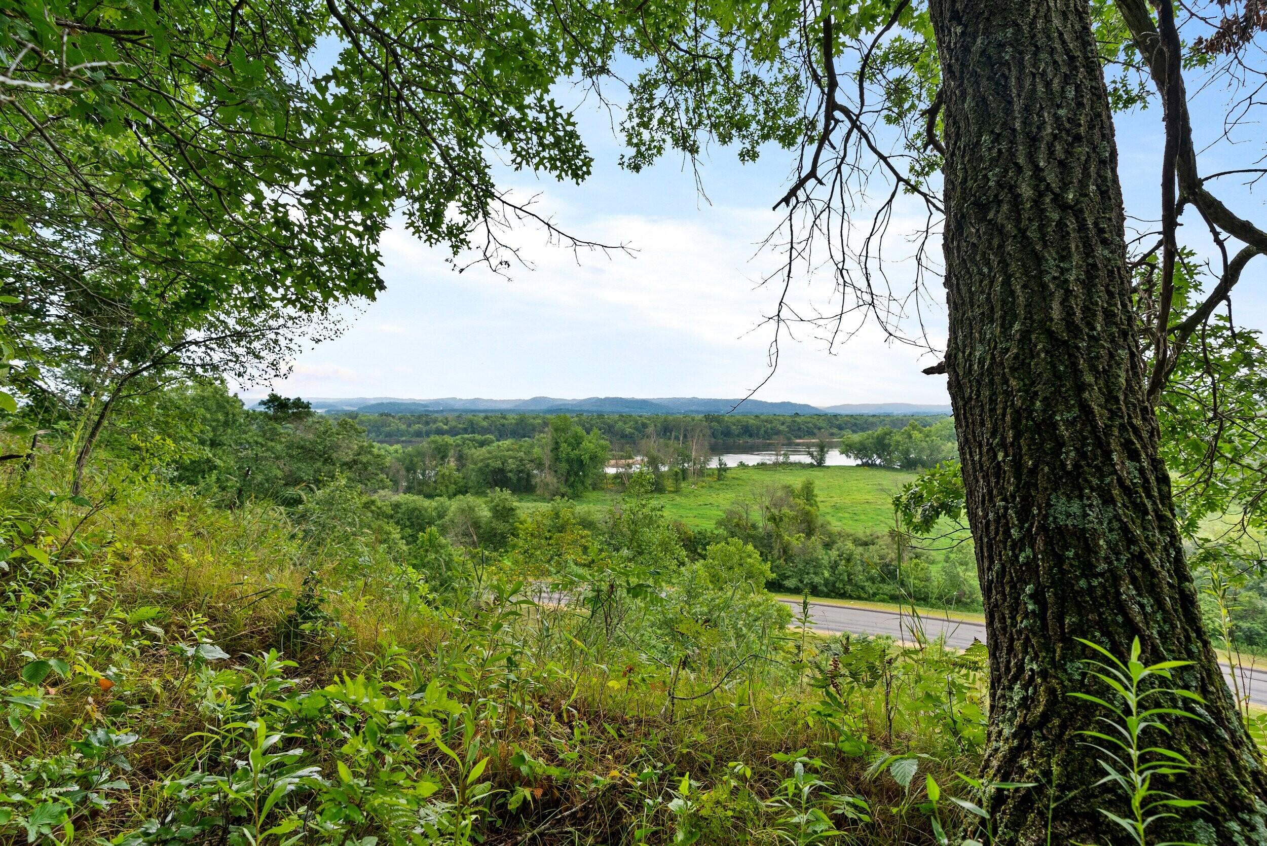 Lt3 County Road North Arkansaw, WI 54721 - Photo 15 of 16 Pepin Co 13 (1)