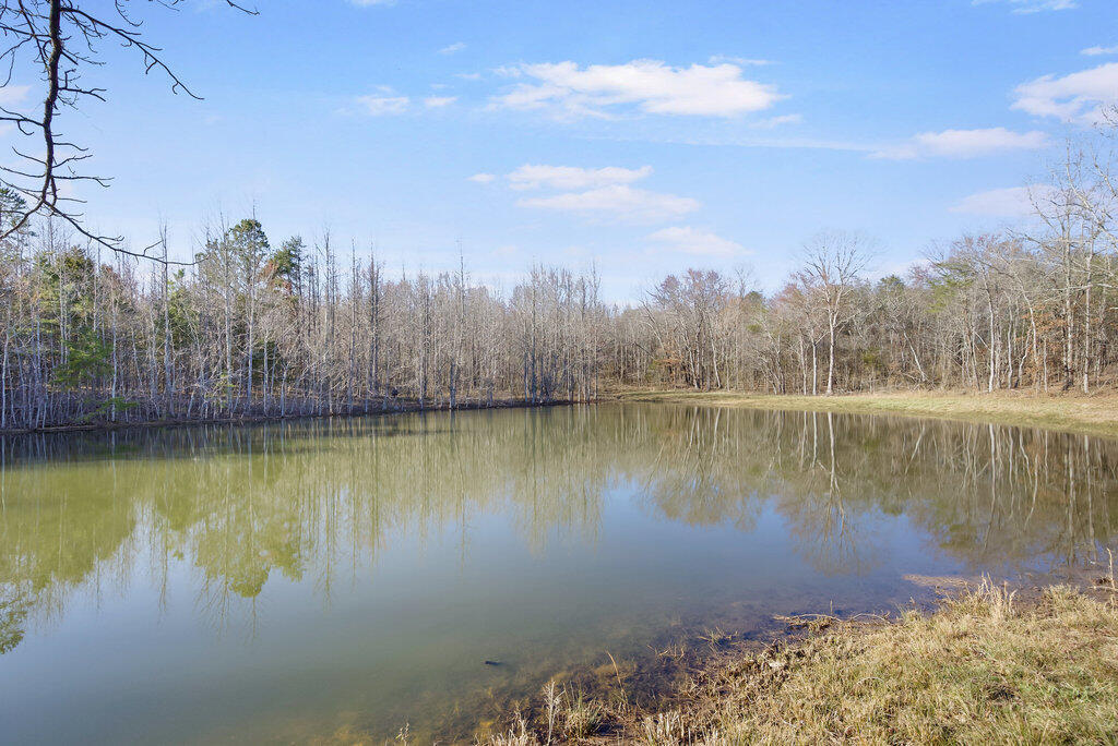 2430 Garrison Road Dayton, TN 37321 - Photo 48 of 53 048_dsc00445_293