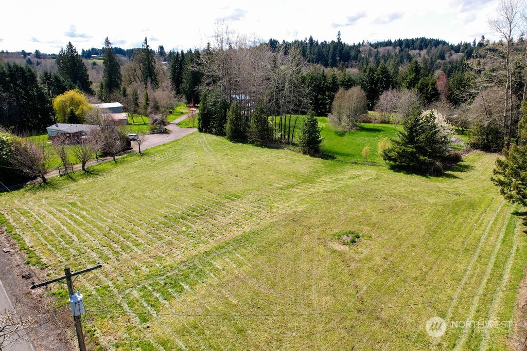 2077 Rice Road Chehalis, WA 98532 - Photo 7 of 8 a view of a swimming pool and trees in the background