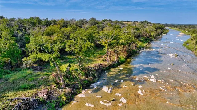 a view of a bunch of trees and bushes