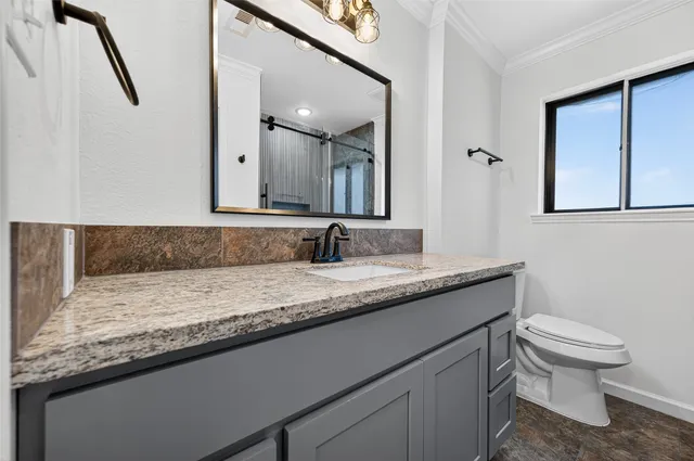 a bathroom with a granite countertop sink a toilet and a mirror