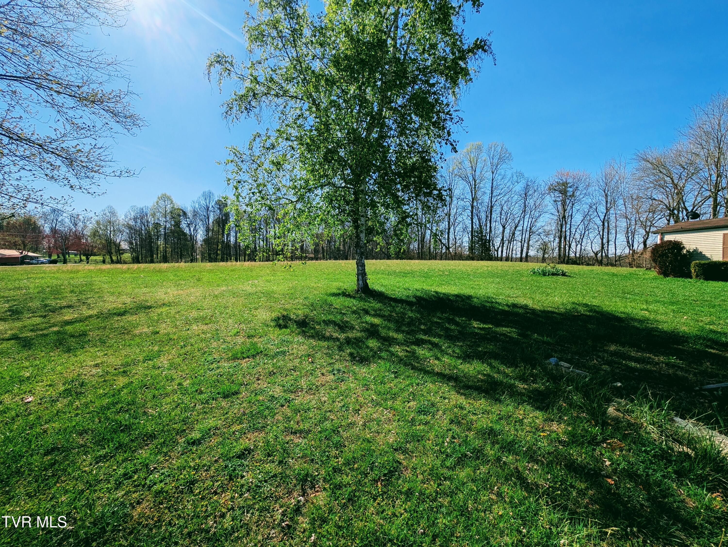 3645 DC Caney Ridge Road Clintwood, VA 24228 - Photo 9 of 54 1000020760