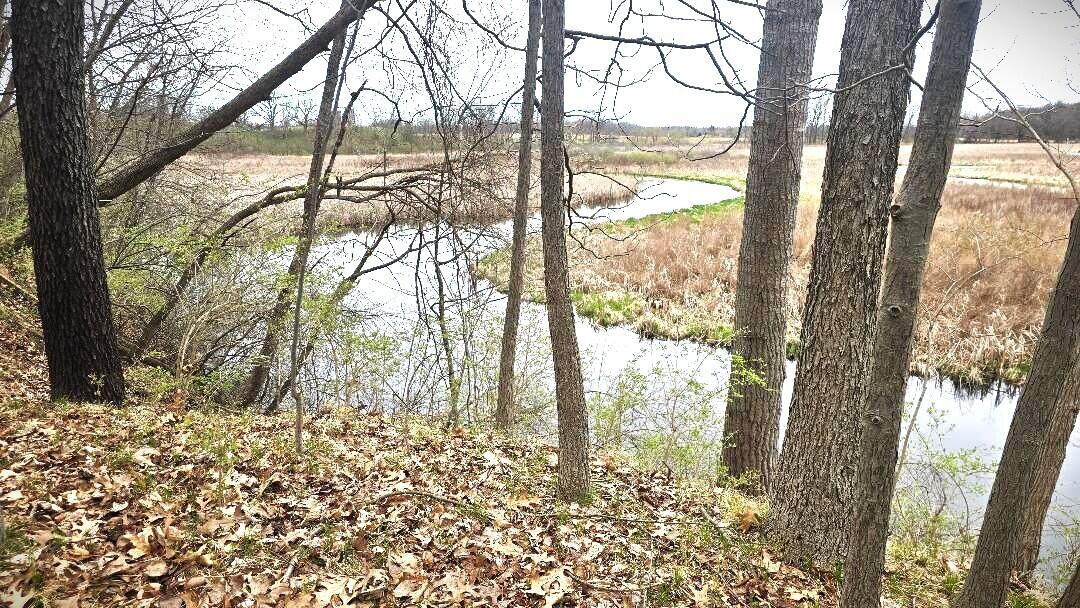0 Palmer Road Brooklyn, MI 49230 - Photo 2 of 13 Palmer 2