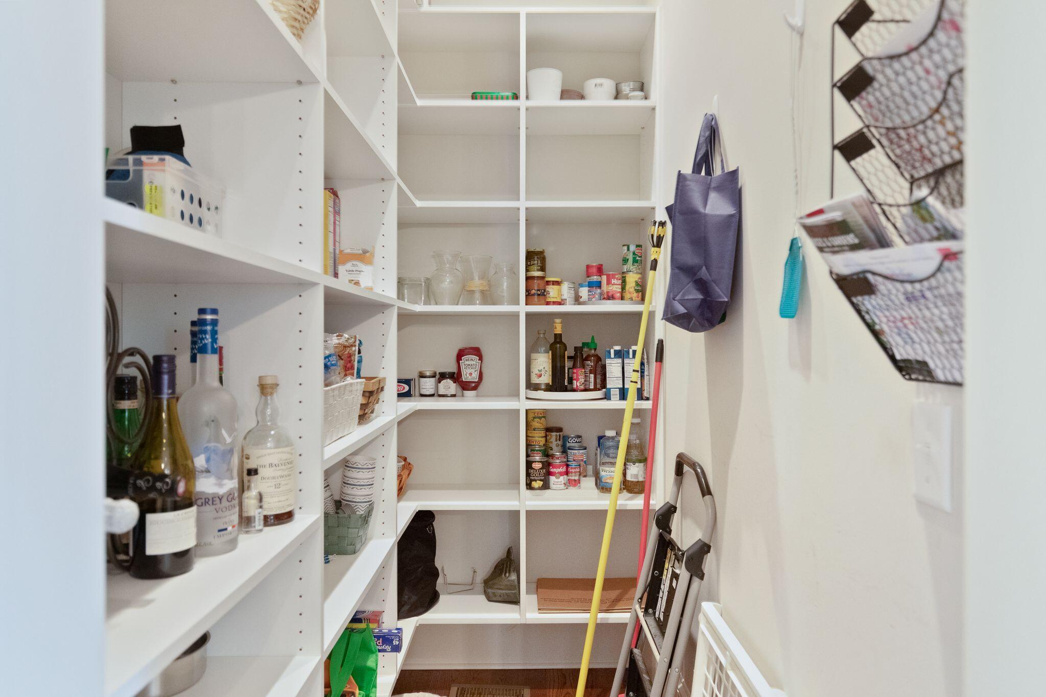43 Joggling Street Mount Pleasant, SC 29464 - Photo 19 of 48 WALK-IN PANTRY KEEPS YOU ORGANIZED