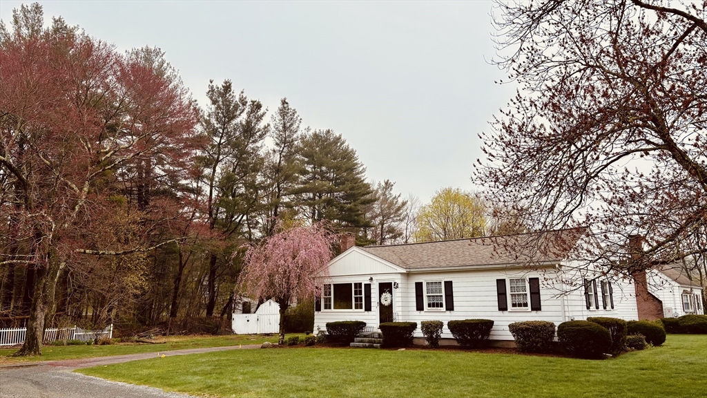 29 Forest Street Franklin, MA 02038 - Photo 19 of 19 a front view of a house with a garden and trees