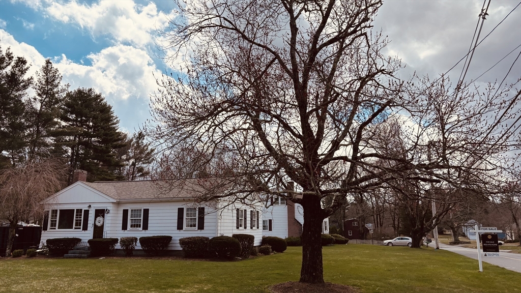 29 Forest Street Franklin, MA 02038 - Photo 21 of 24