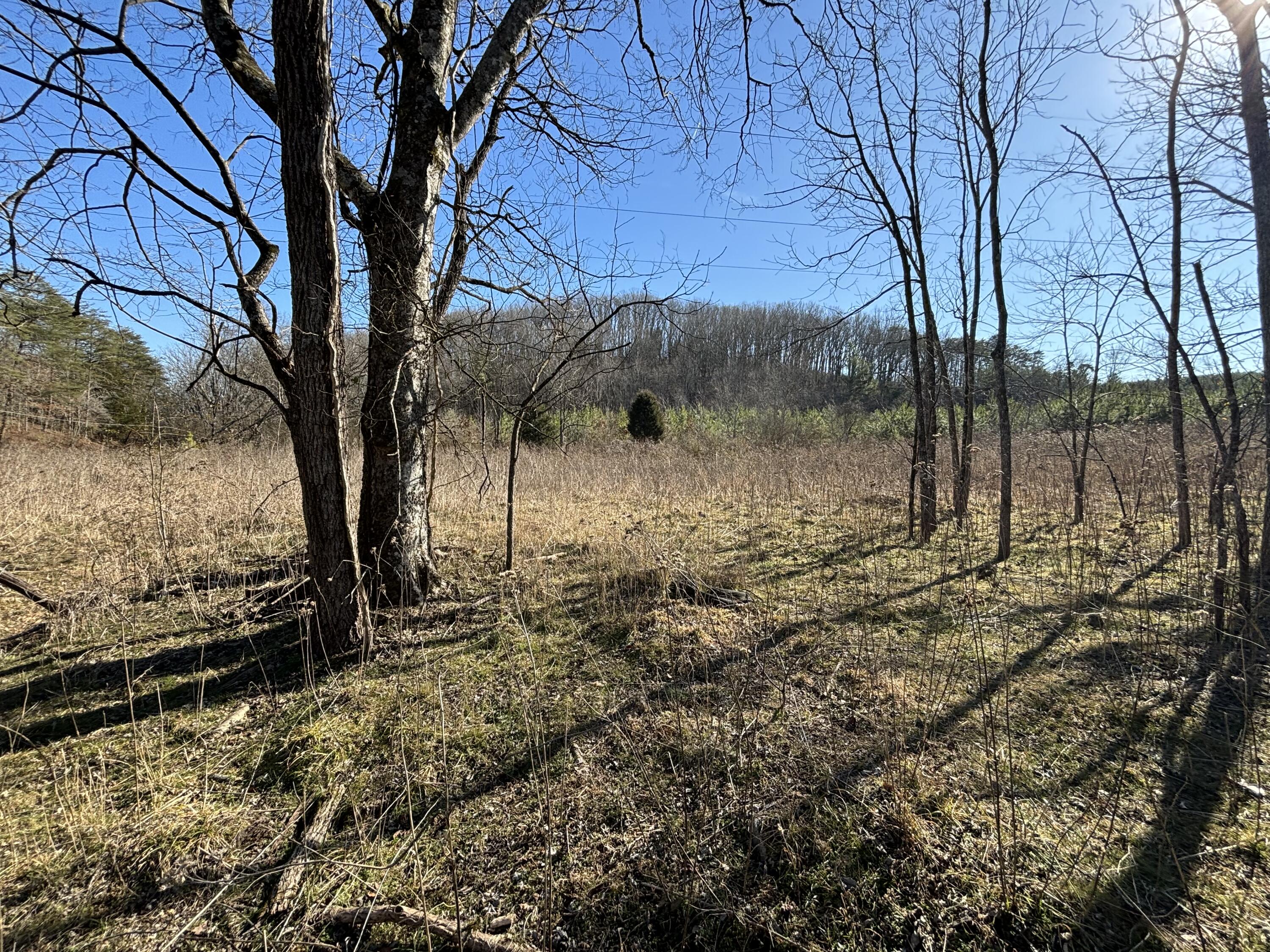 0 Dividing Ridge Road Evensville, TN 37332 - Photo 1 of 33 Photo Jan 29 2025, 2 49 29 PM