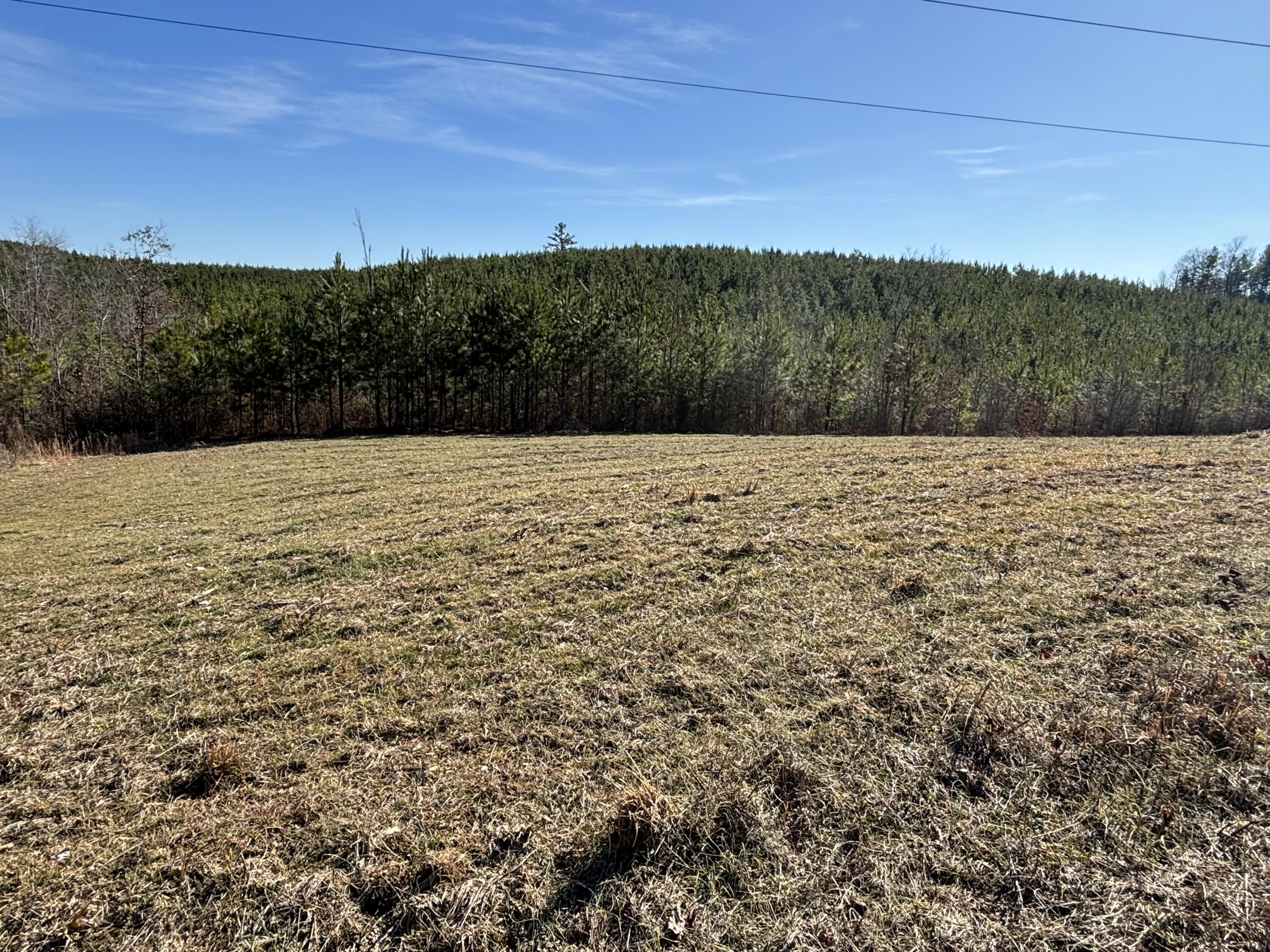 0 Dividing Ridge Road Evensville, TN 37332 - Photo 12 of 33 Photo Jan 29 2025, 2 19 10 PM