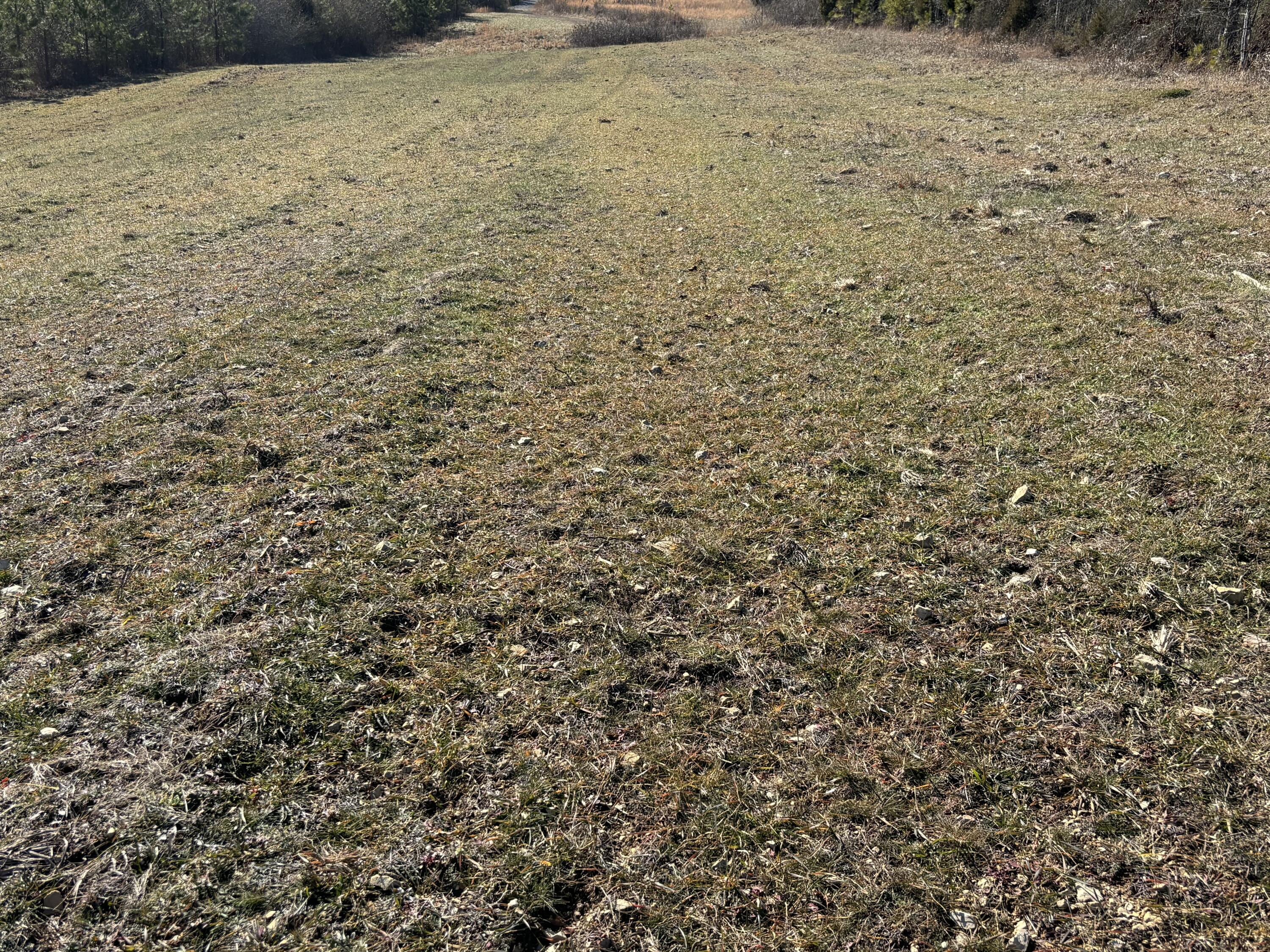 0 Dividing Ridge Road Evensville, TN 37332 - Photo 15 of 33 Photo Jan 29 2025, 2 20 27 PM