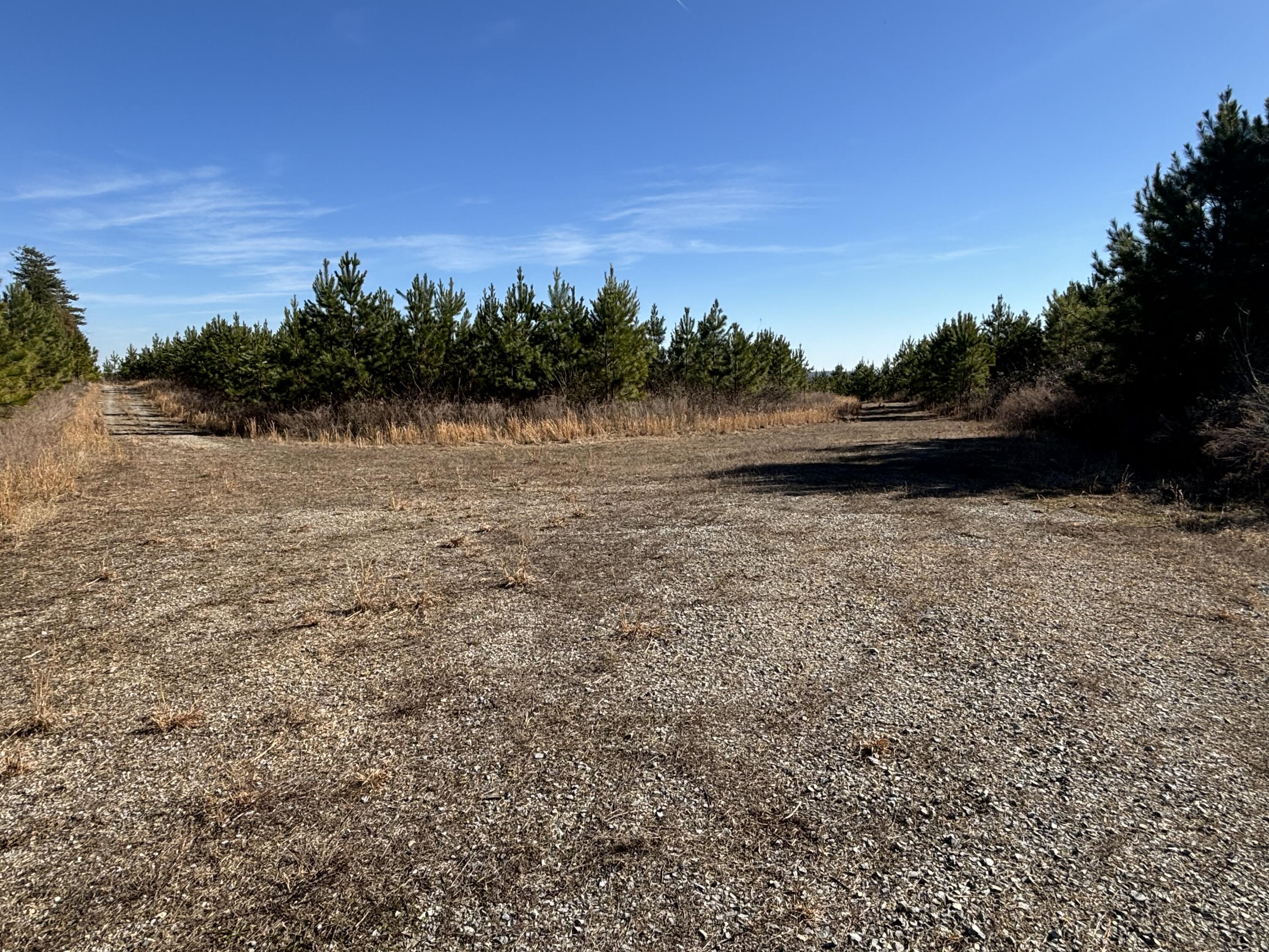 0 Dividing Ridge Road Evensville, TN 37332 - Photo 16 of 33 Photo Jan 29 2025, 2 24 00 PM