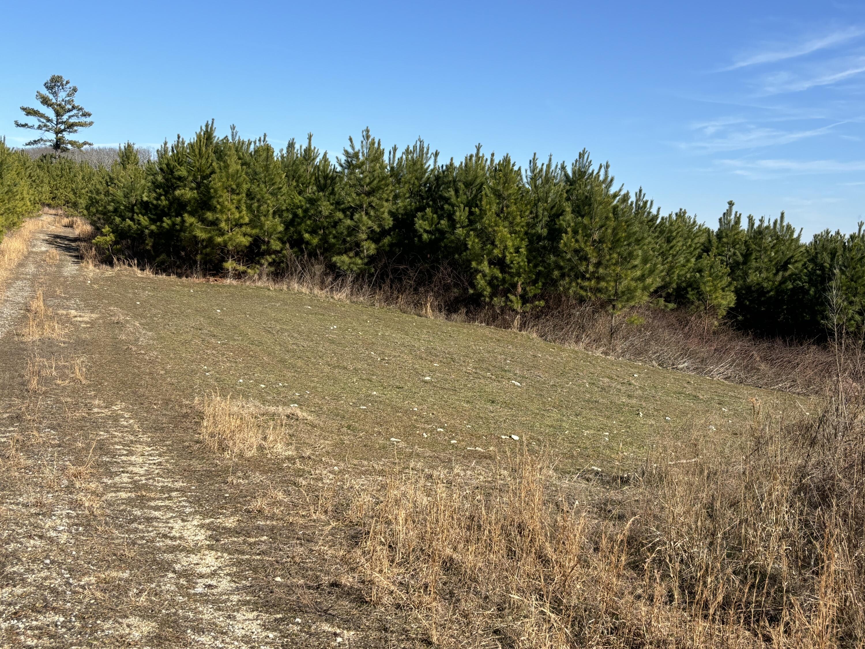0 Dividing Ridge Road Evensville, TN 37332 - Photo 19 of 33 Photo Jan 29 2025, 2 24 48 PM