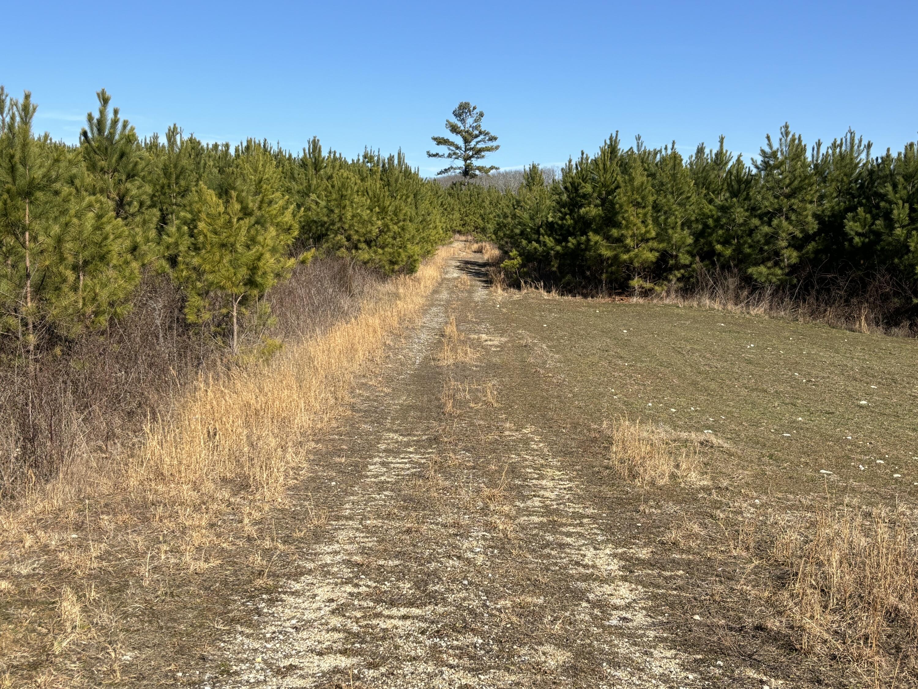 0 Dividing Ridge Road Evensville, TN 37332 - Photo 20 of 33 Photo Jan 29 2025, 2 24 50 PM