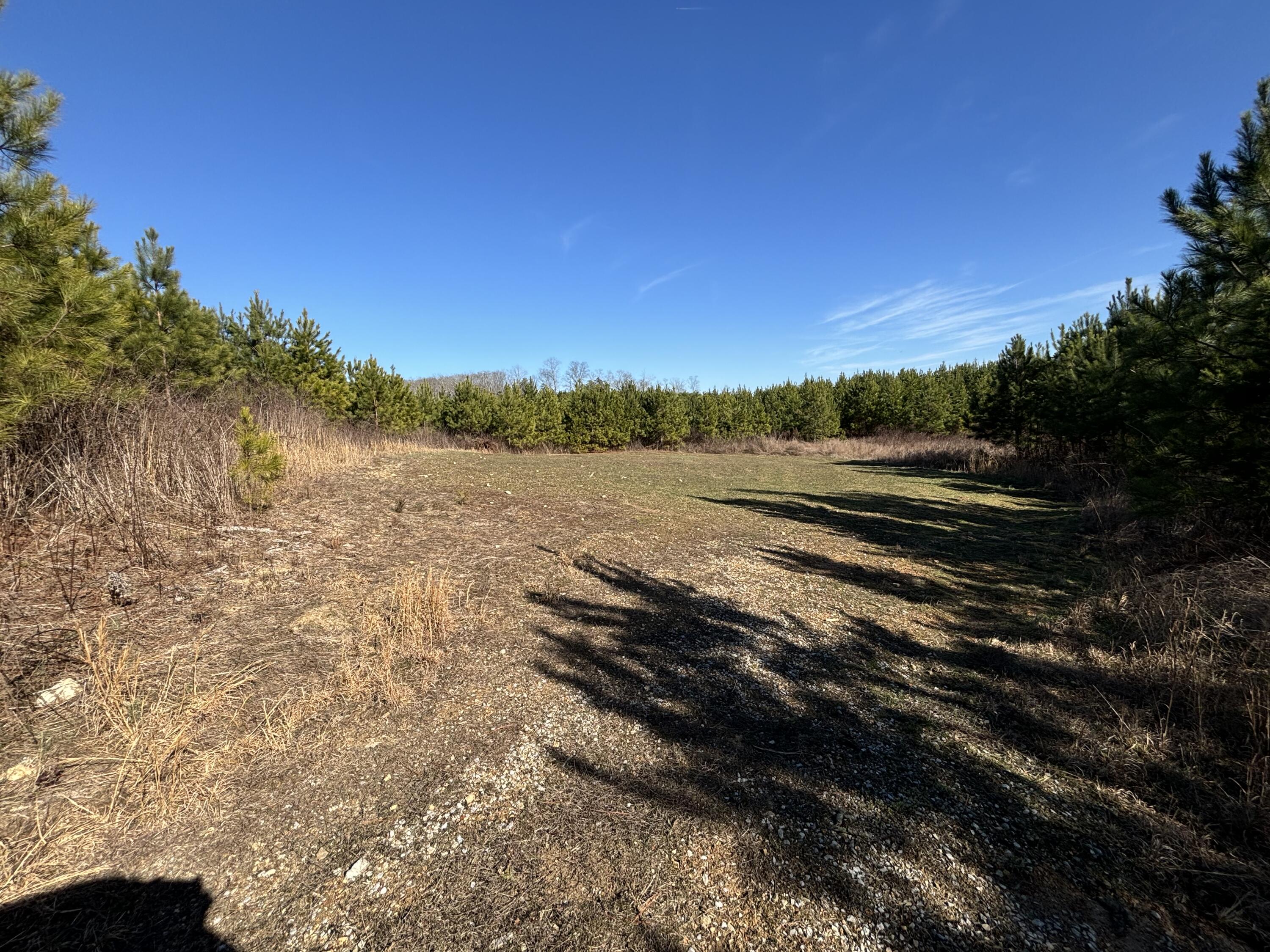 0 Dividing Ridge Road Evensville, TN 37332 - Photo 21 of 33 Photo Jan 29 2025, 2 25 30 PM