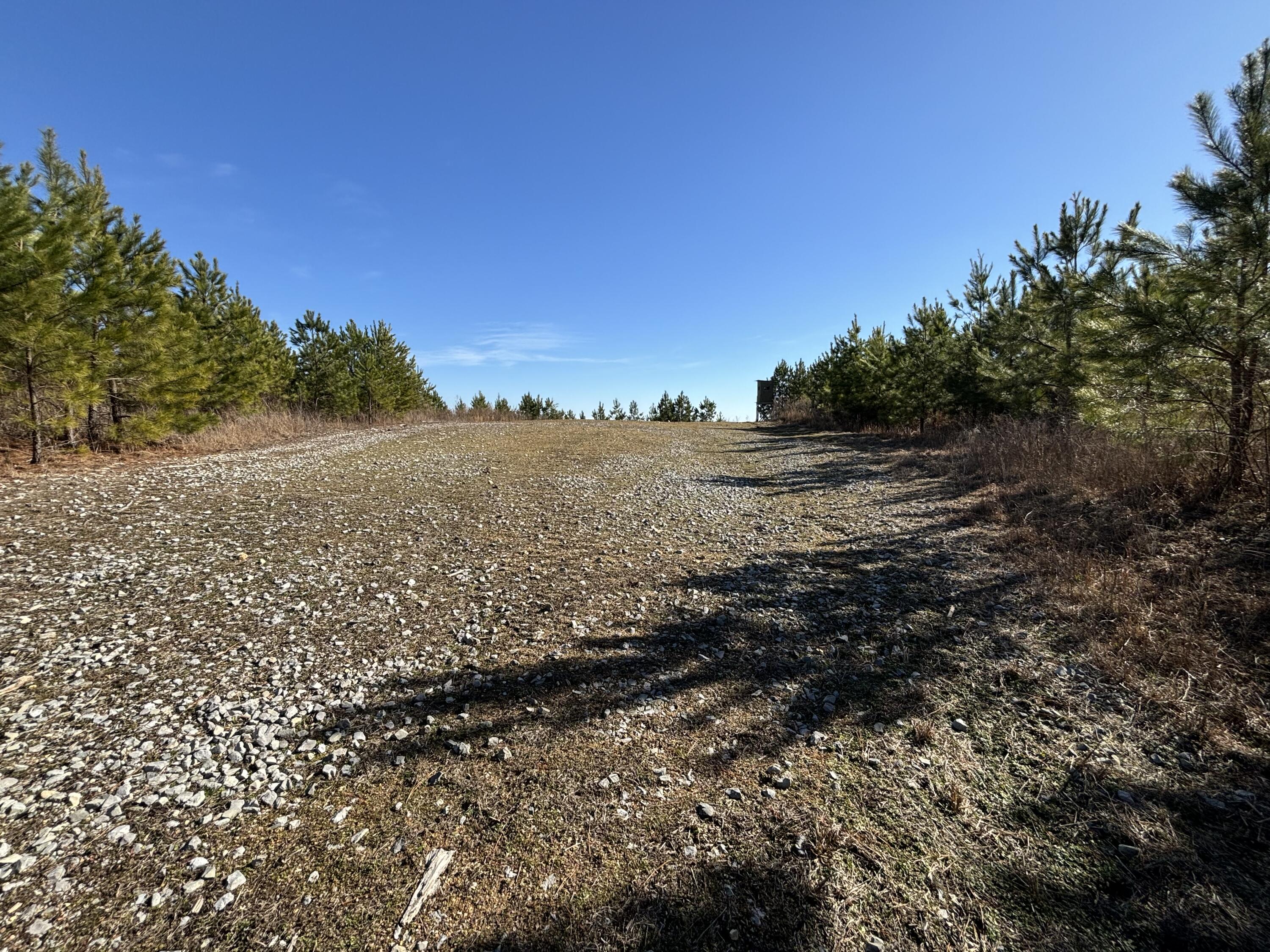 0 Dividing Ridge Road Evensville, TN 37332 - Photo 22 of 33 Photo Jan 29 2025, 2 28 06 PM