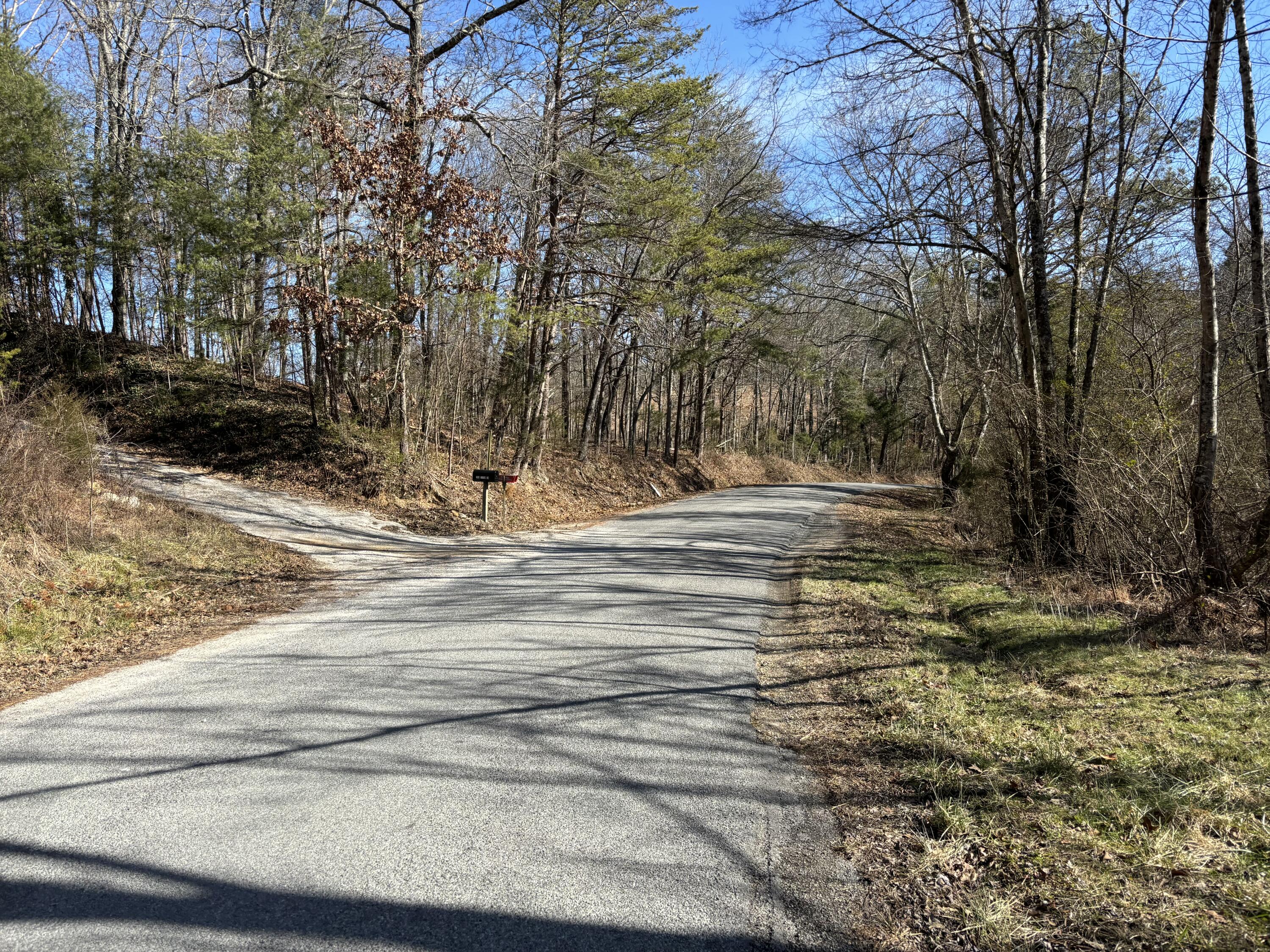 0 Dividing Ridge Road Evensville, TN 37332 - Photo 23 of 33 Photo Jan 29 2025, 2 03 59 PM