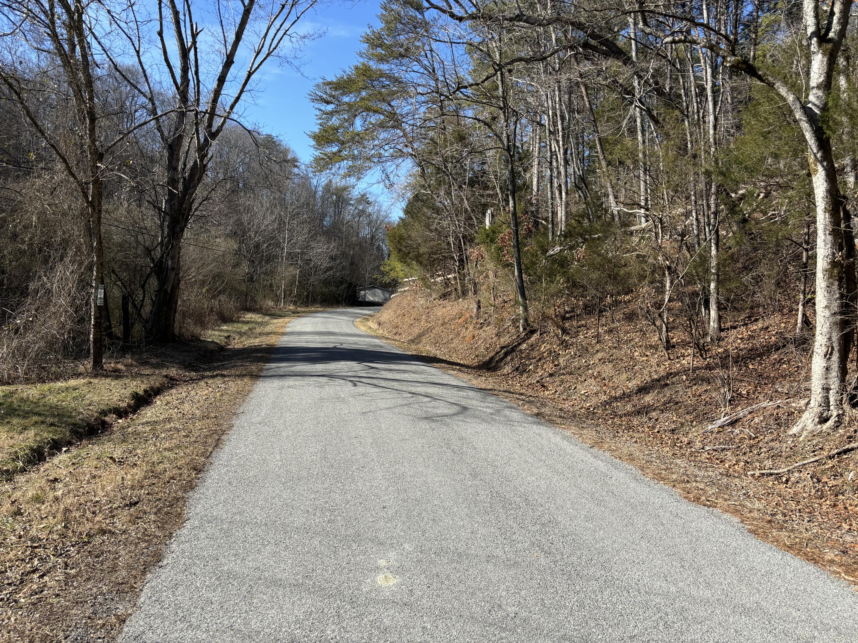 0 Dividing Ridge Road Evensville, TN 37332 - Photo 26 of 33 Photo Jan 29 2025, 2 04 02 PM