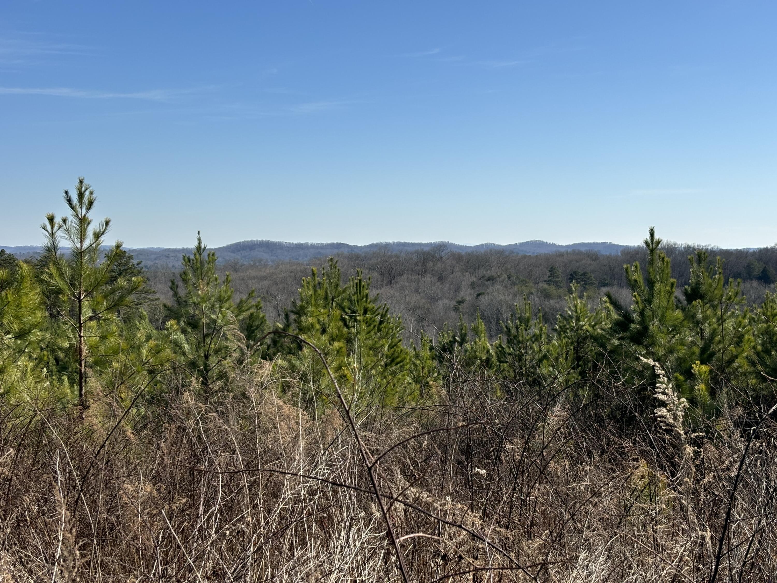 0 Dividing Ridge Road Evensville, TN 37332 - Photo 27 of 33 Photo Jan 29 2025, 2 29 15 PM