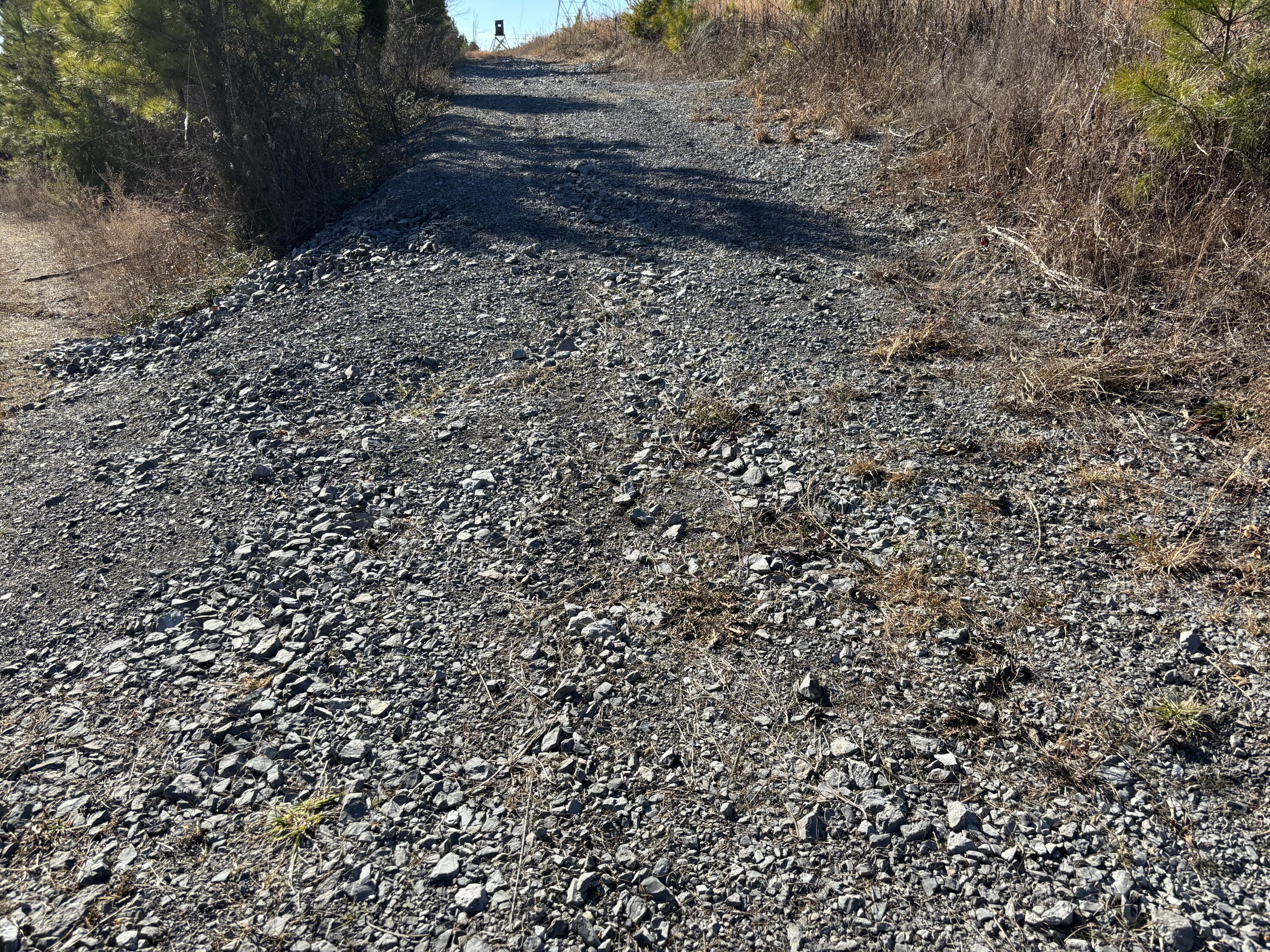 0 Dividing Ridge Road Evensville, TN 37332 - Photo 29 of 33 Photo Jan 29 2025, 2 42 46 PM