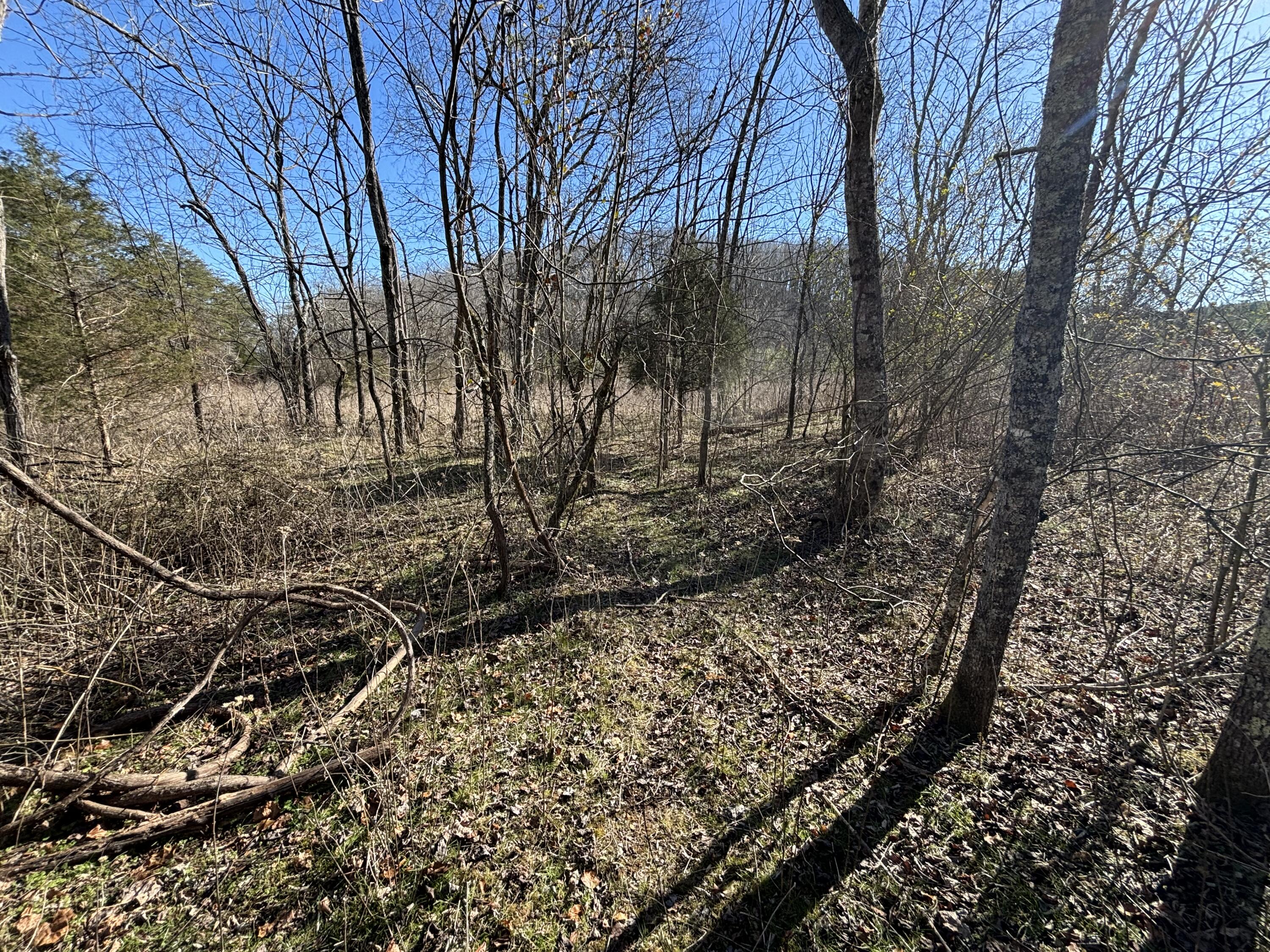 0 Dividing Ridge Road Evensville, TN 37332 - Photo 31 of 33 Photo Jan 29 2025, 2 49 02 PM