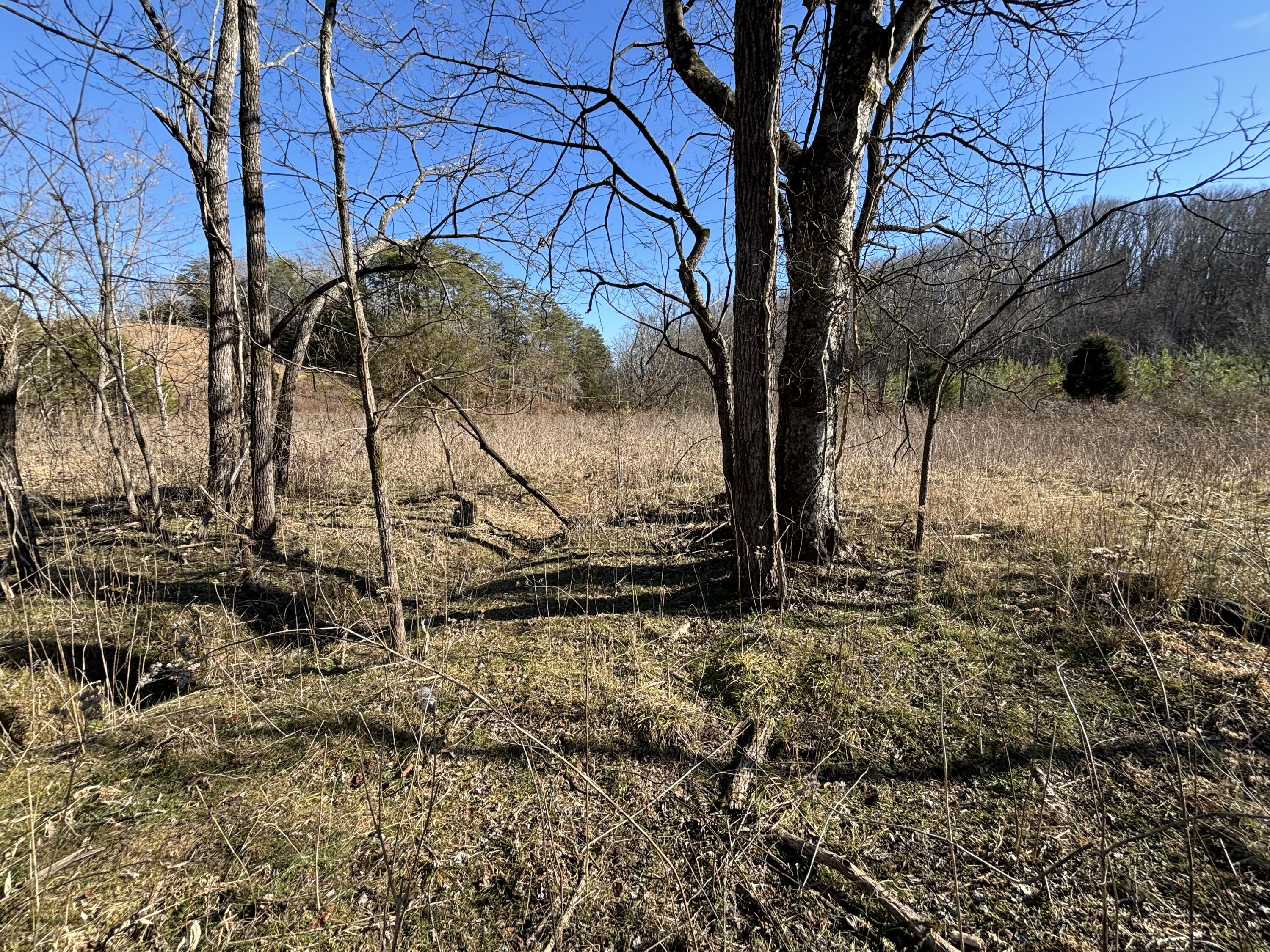 0 Dividing Ridge Road Evensville, TN 37332 - Photo 32 of 33 Photo Jan 29 2025, 2 49 42 PM