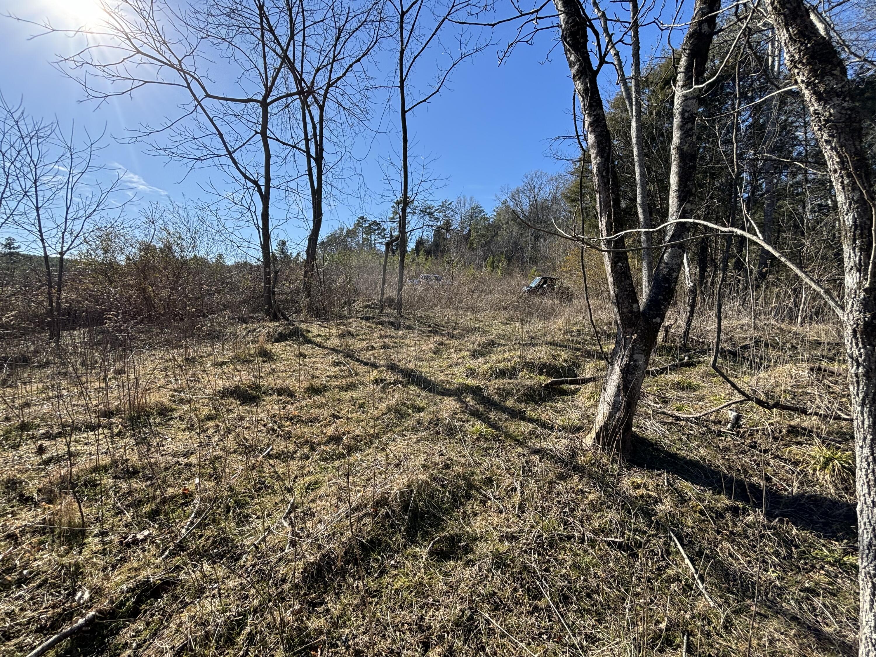 0 Dividing Ridge Road Evensville, TN 37332 - Photo 33 of 33 Photo Jan 29 2025, 2 50 21 PM