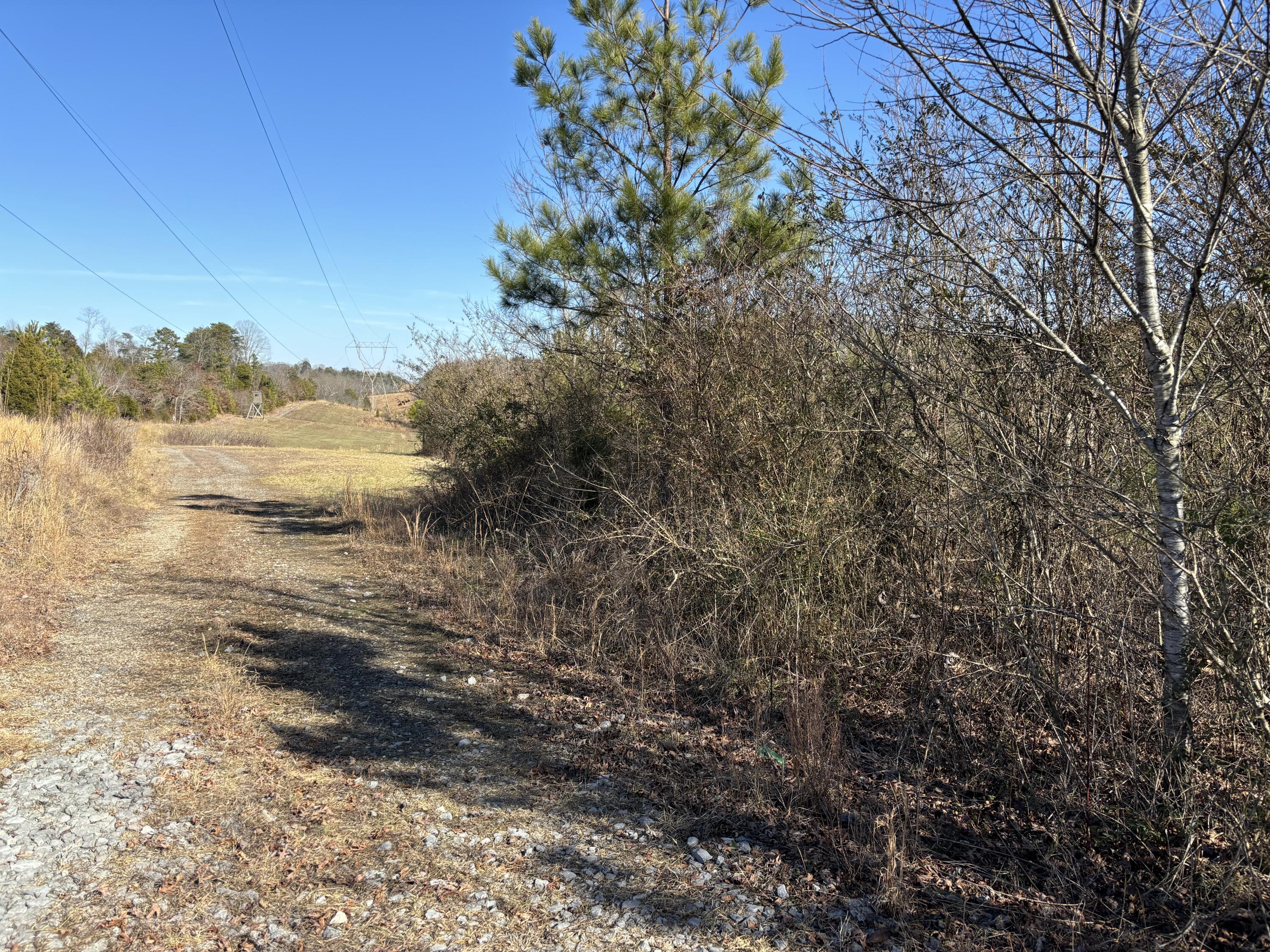 0 Dividing Ridge Road Evensville, TN 37332 - Photo 5 of 33 Photo Jan 29 2025, 2 42 51 PM