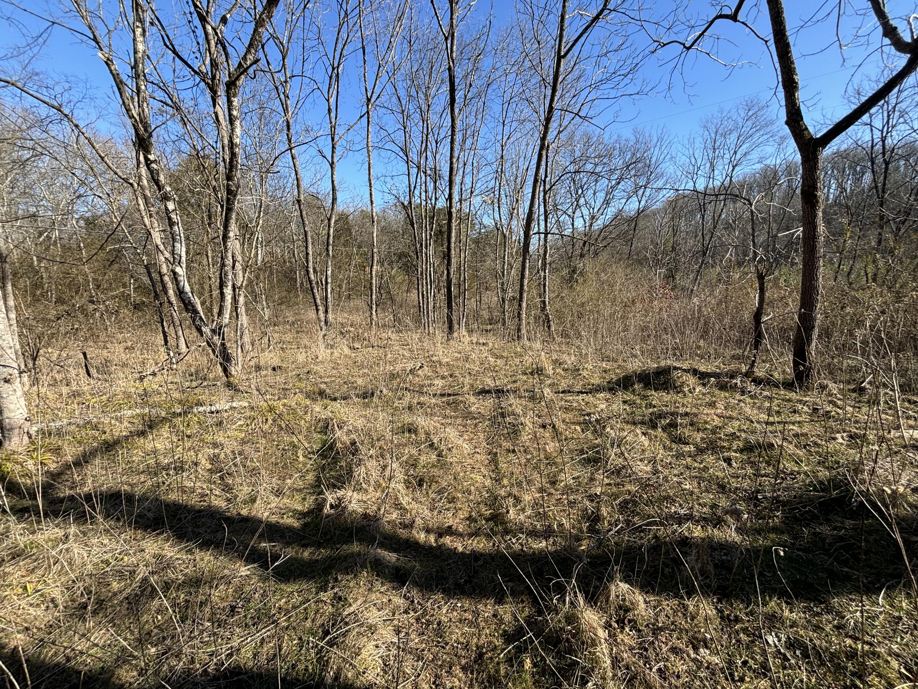 0 Dividing Ridge Road Evensville, TN 37332 - Photo 6 of 33 Photo Jan 29 2025, 2 48 18 PM