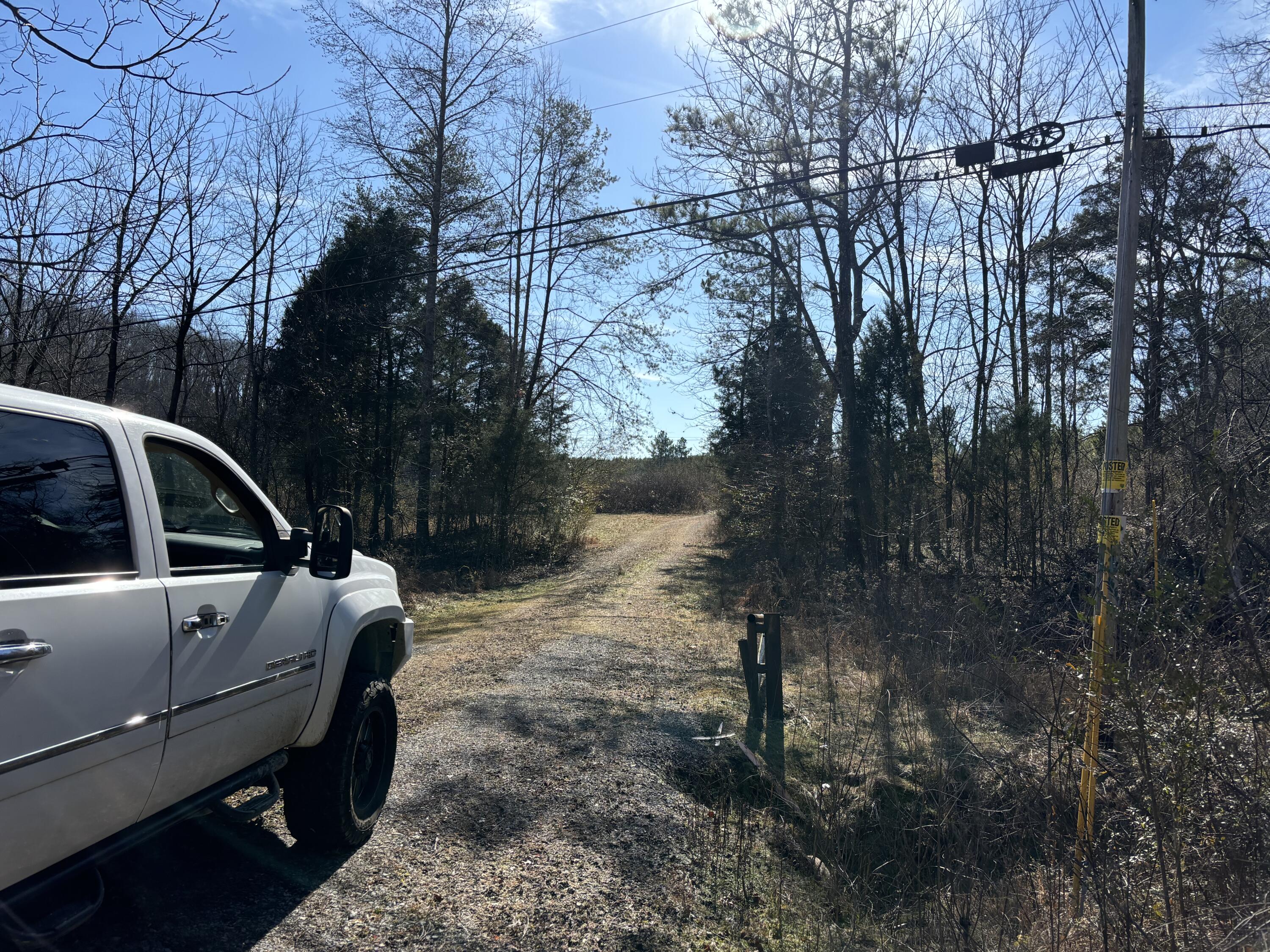 0 Dividing Ridge Road Evensville, TN 37332 - Photo 8 of 33 Photo Jan 29 2025, 2 04 15 PM
