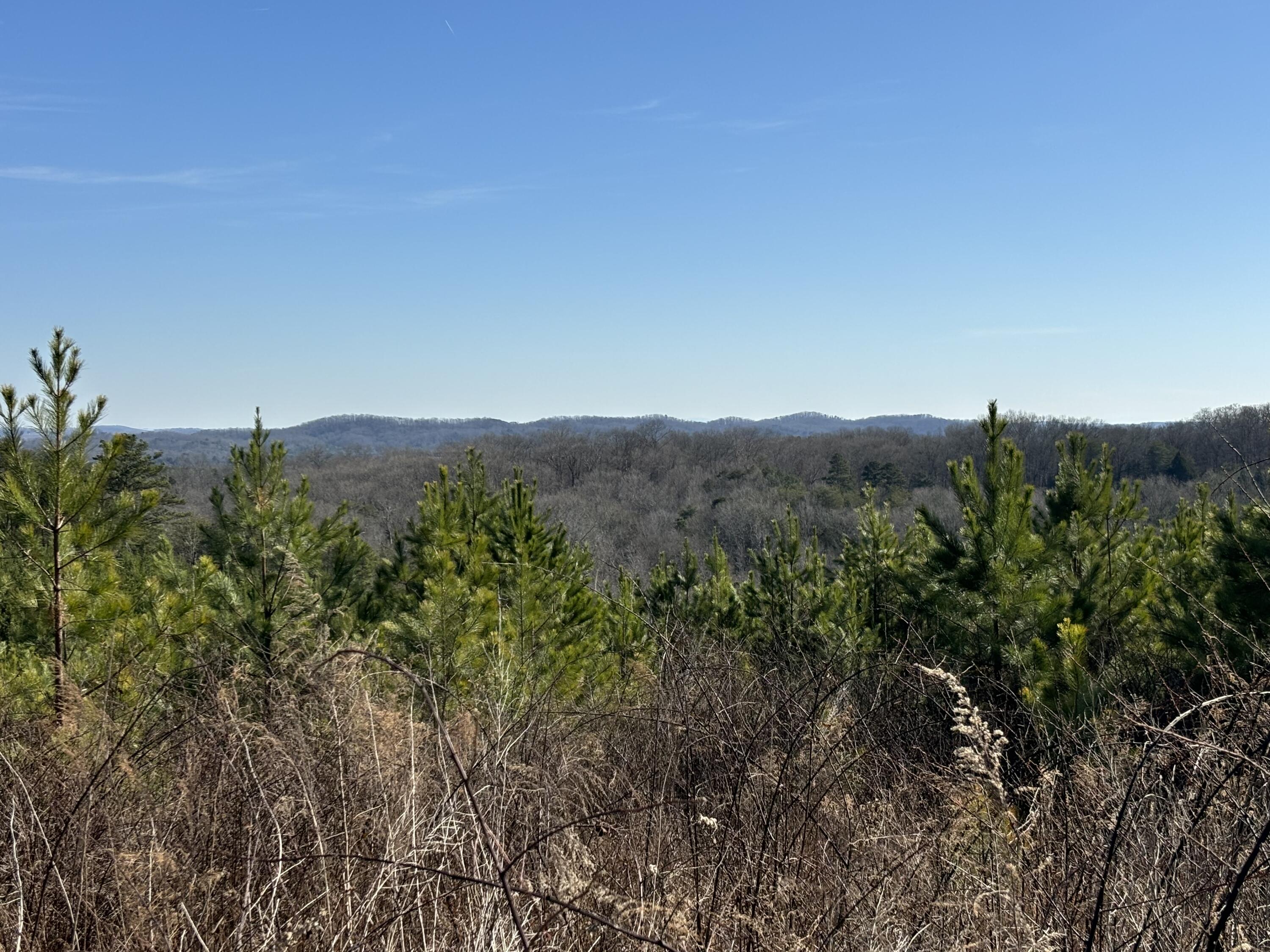 0 Dividing Ridge Road Evensville, TN 37332 - Photo 10 of 33 Photo Jan 29 2025, 2 29 09 PM