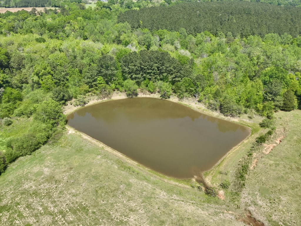 12.37-acres Huskey Road Dothan, AL 36303 - Photo 10 of 16