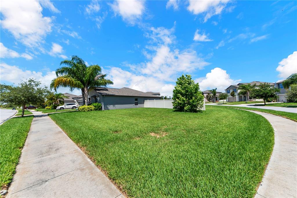6765 Emerald Spring Loop New Port Richey, FL 34653 - Photo 24 of 36