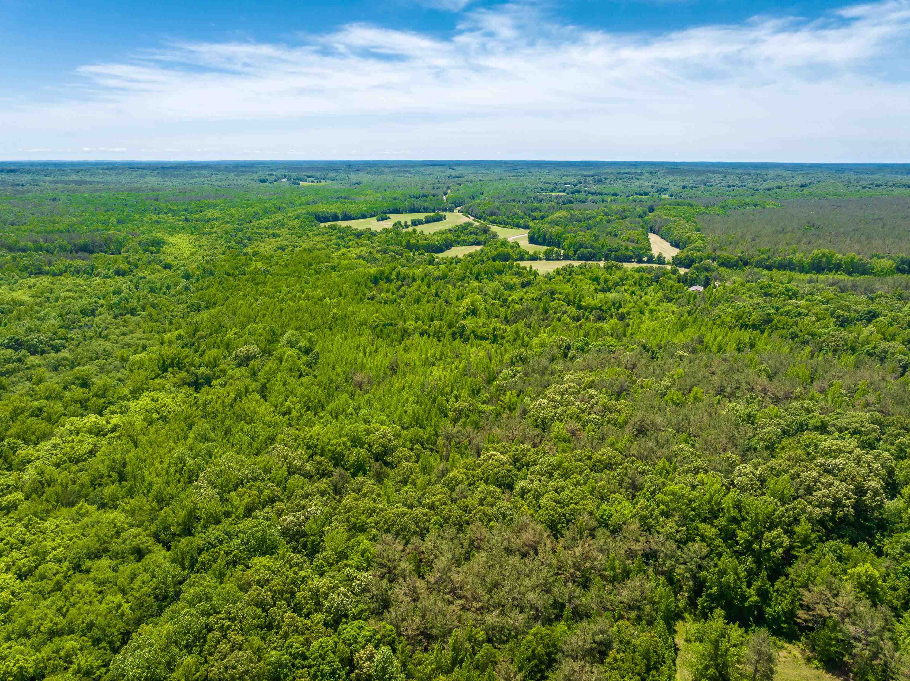 2340 Center Hill Road Finger, TN 38334 - Photo 9 of 21 a view of a city