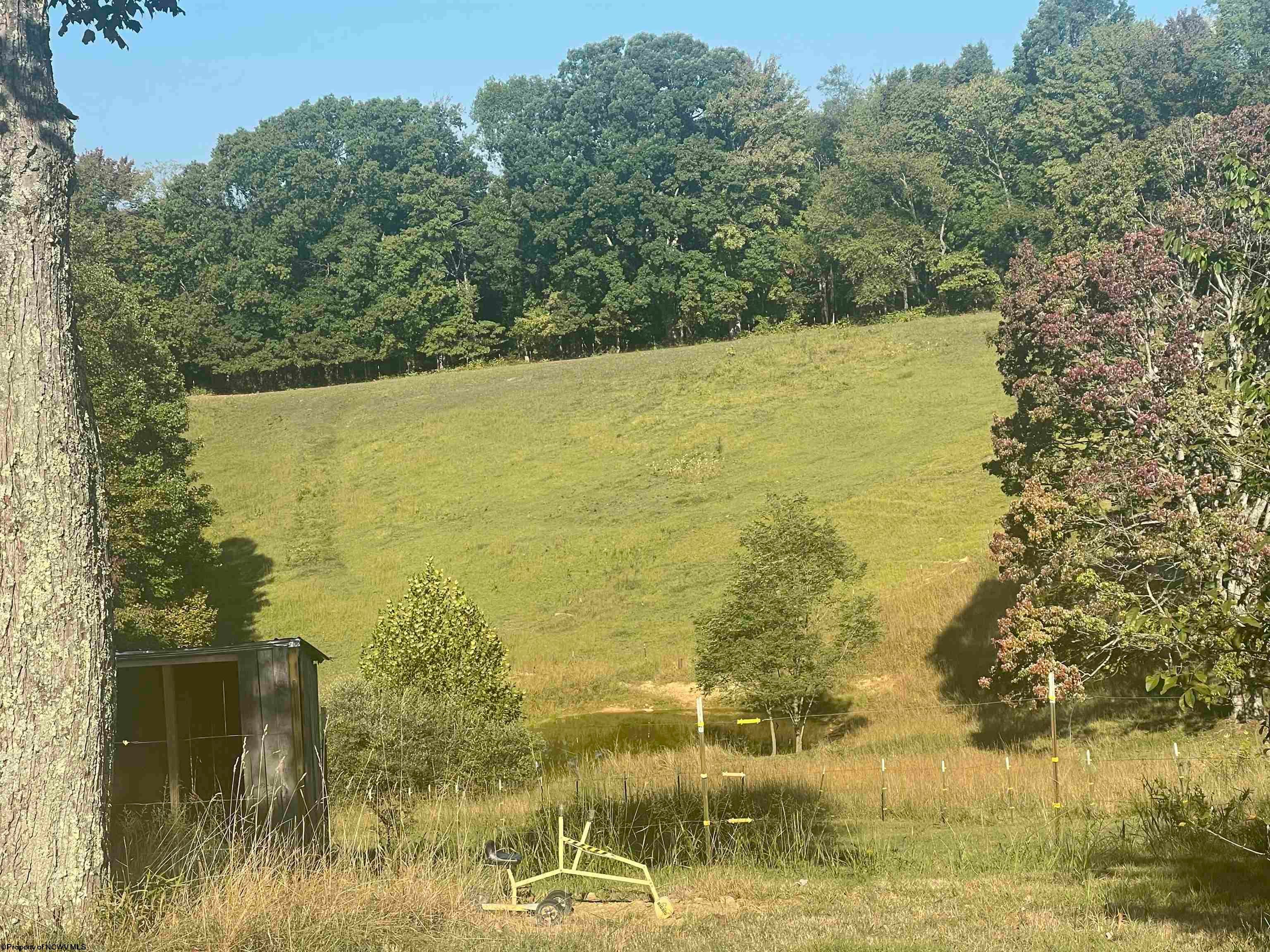 2448 Waterloo Road French Creek, WV 26218 - Photo 22 of 40 Gallery Image 22