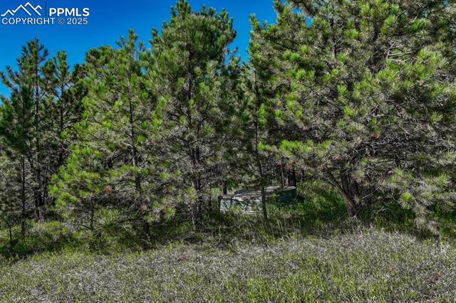 Perry Park Road Larkspur, CO 80118 - Photo 9 of 50 Gallery Image 9