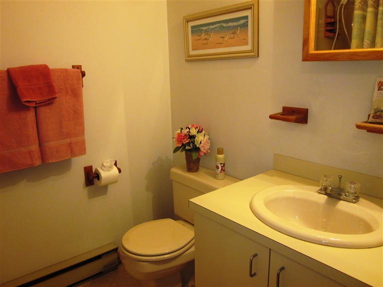 64 Day Road Wellfleet, MA 02667 - Photo 18 of 24 a bathroom with a sink mirror and toilet