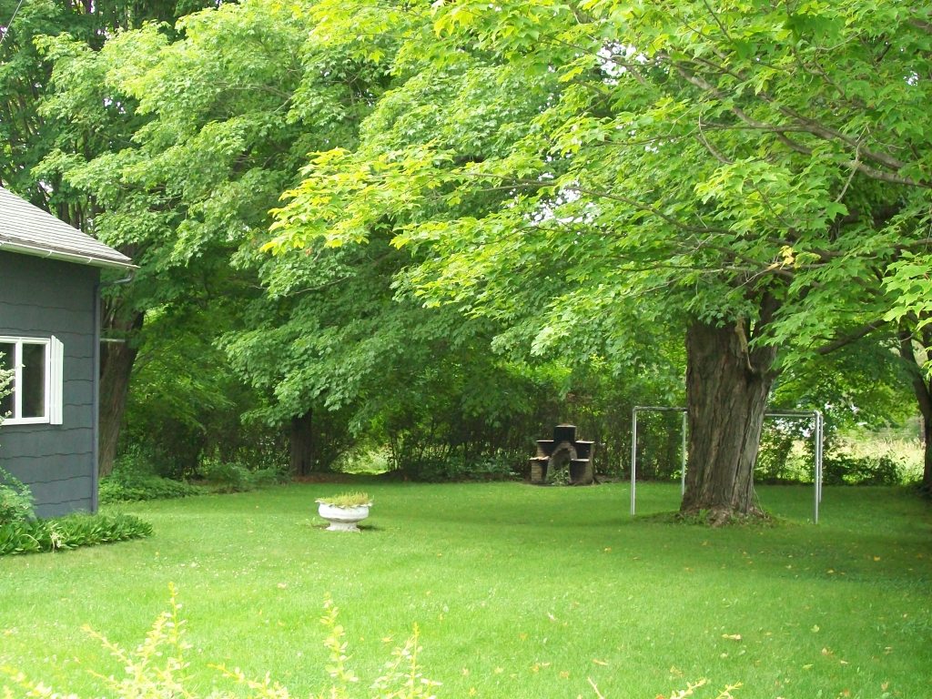 34 Albany Road West Stockbridge, MA 01266 - Photo 33 of 34 a view of a trees with a yard