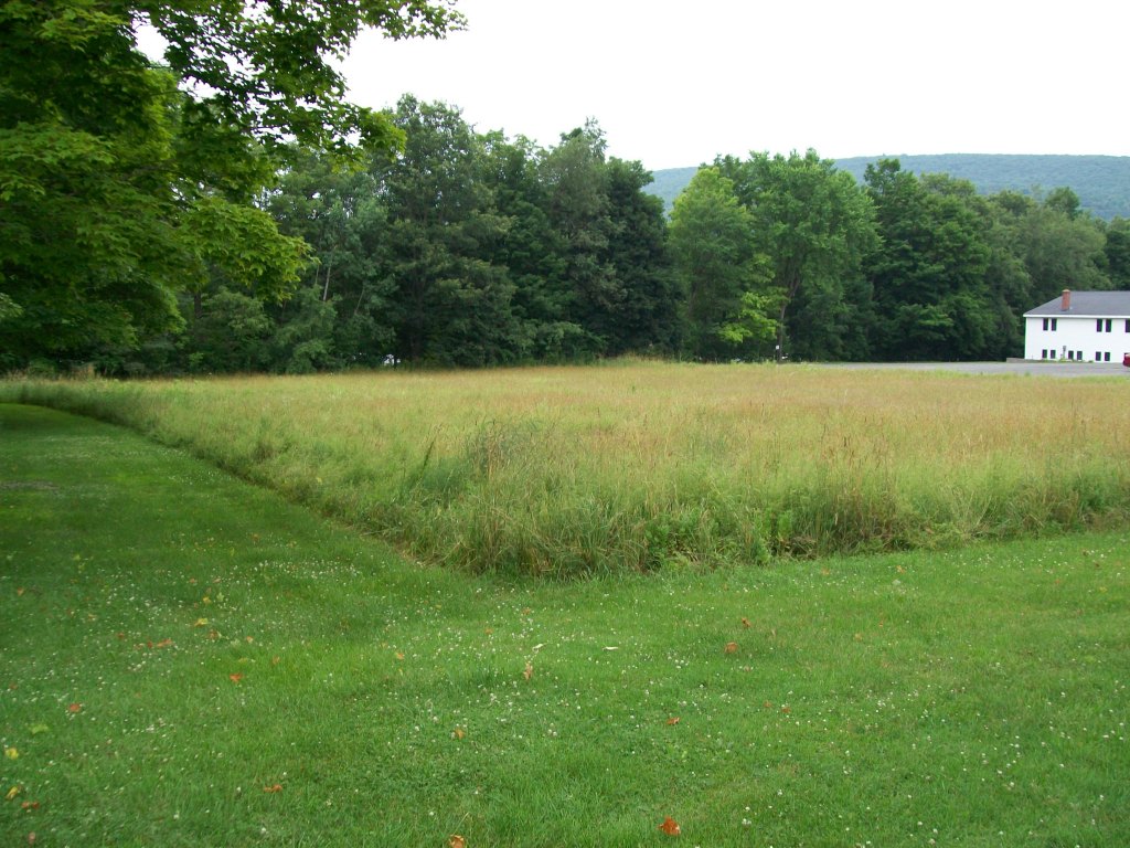 34 Albany Road West Stockbridge, MA 01266 - Photo 5 of 34 a view of outdoor space and yard