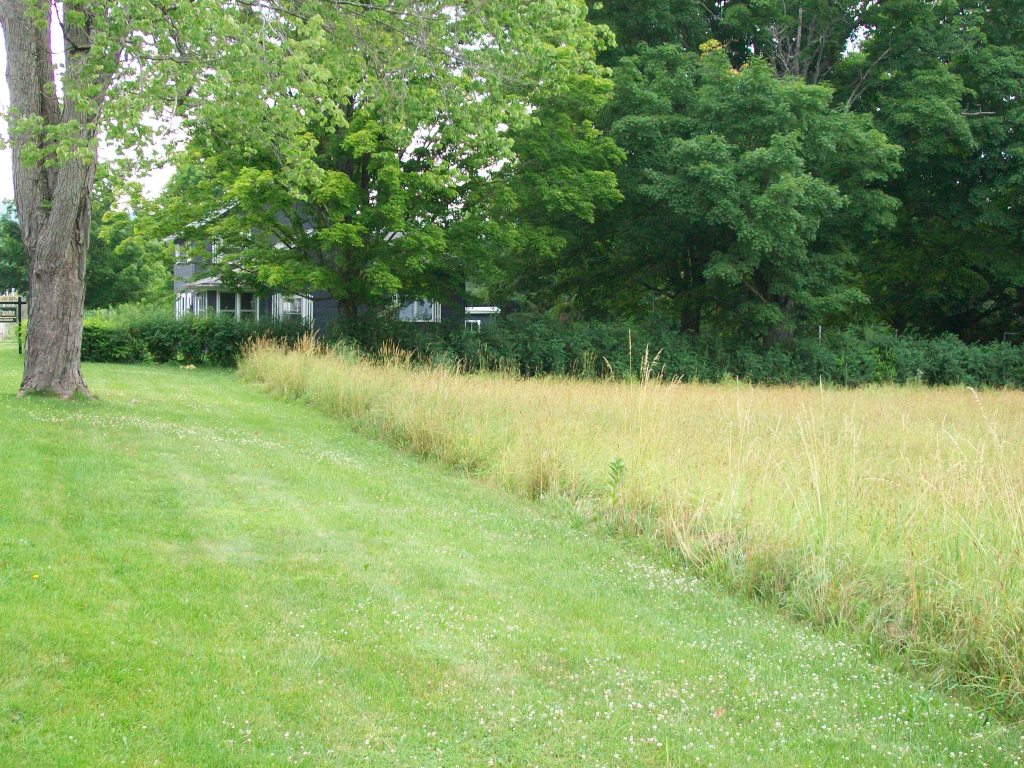 34 Albany Road West Stockbridge, MA 01266 - Photo 6 of 34 a view of yard with green space