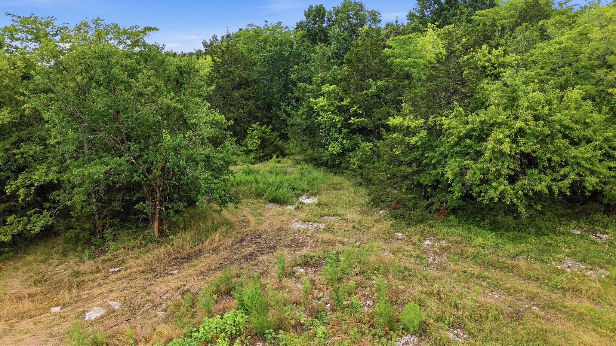 0 Pete Alsup Road Lascassas, TN 37085 - Photo 20 of 32